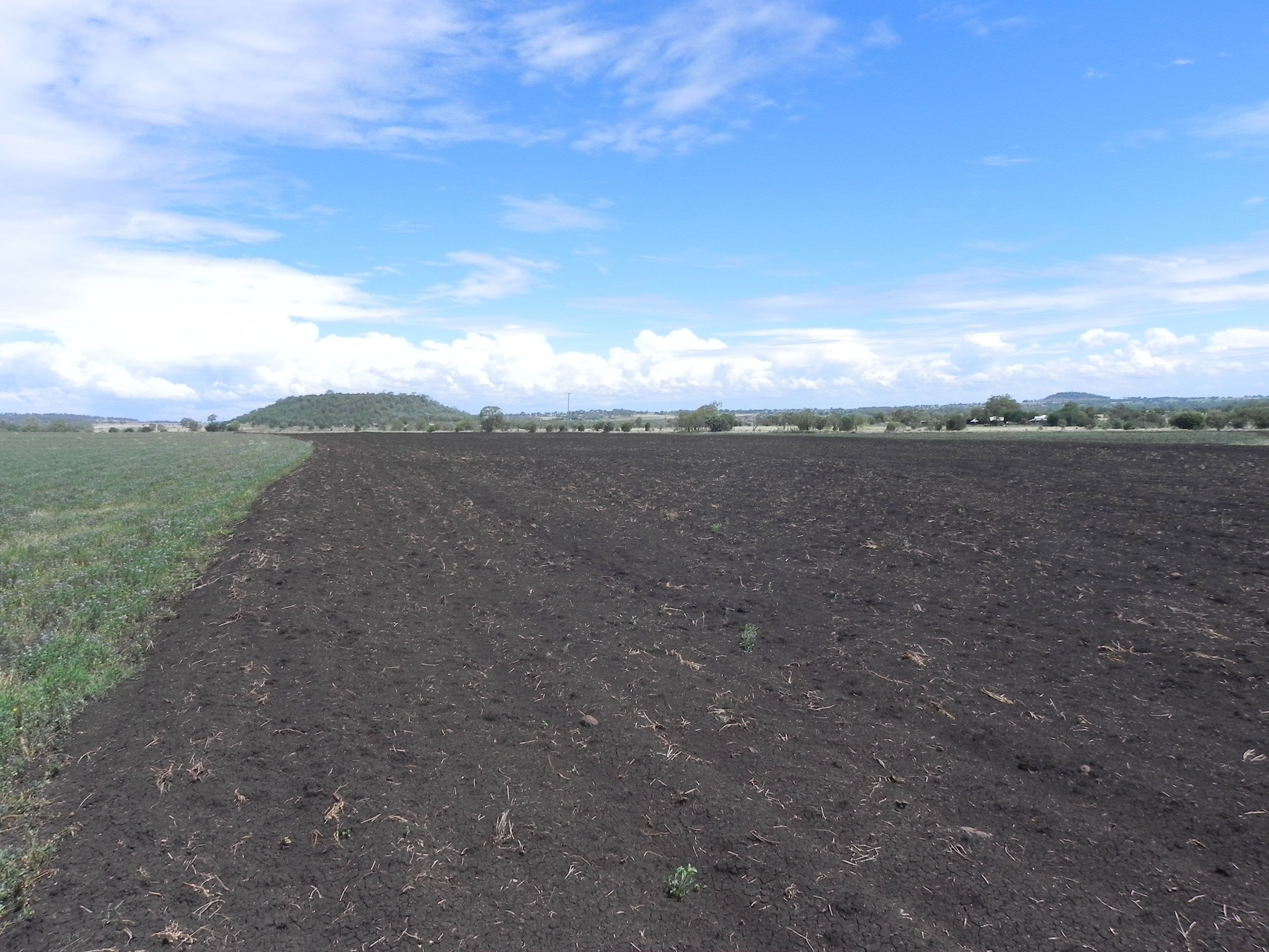 0 Wyangapinni Road, Stoneleigh, Pittsworth QLD 4356, Pittsworth - Thumbnail 3