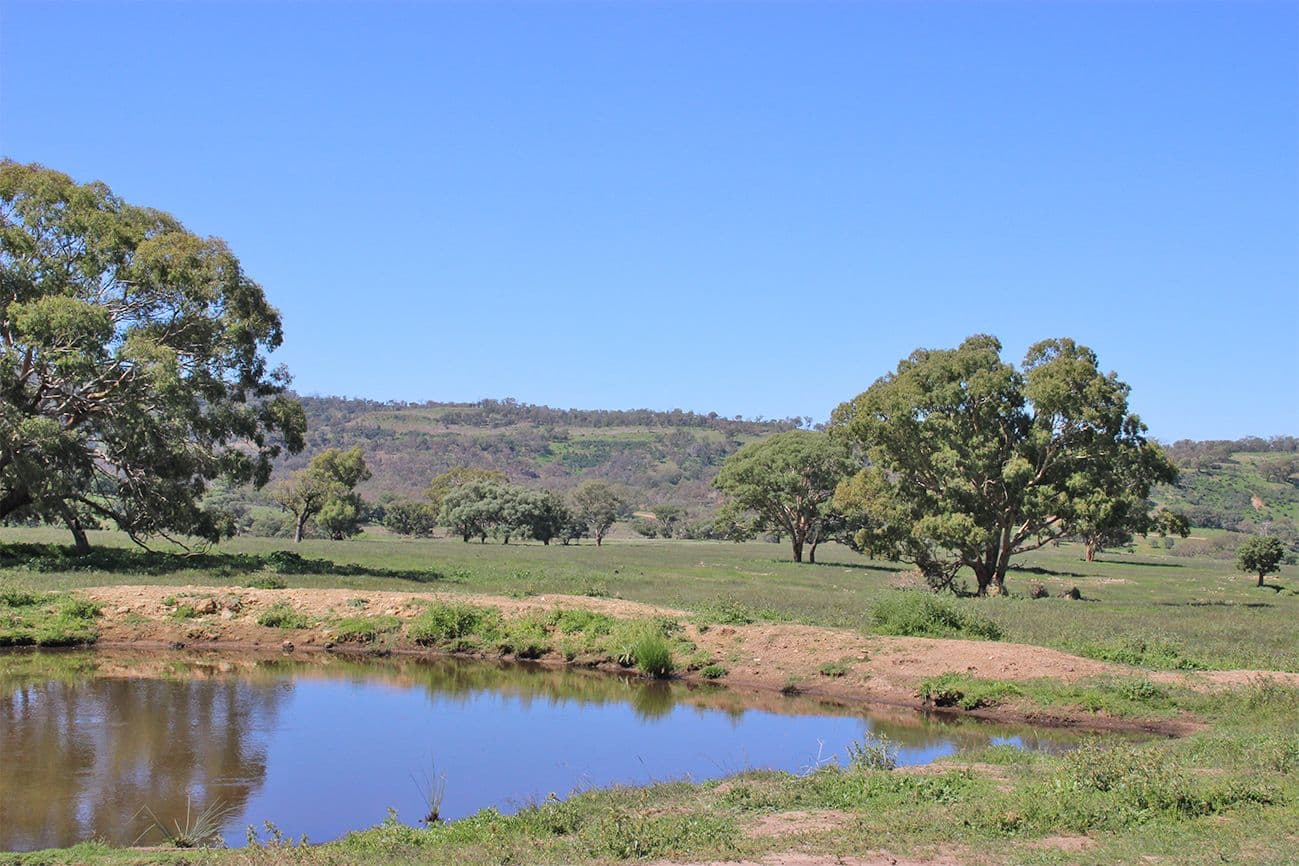 ' LUMEAH', COONABARABRAN NSW 2357, Coonabarabran - Thumbnail 3
