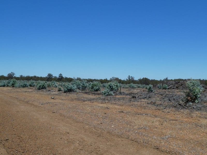 Lot 8 Rocky Gully Road, Rocky Gully WA 6397, Rocky Gully - Thumbnail 4