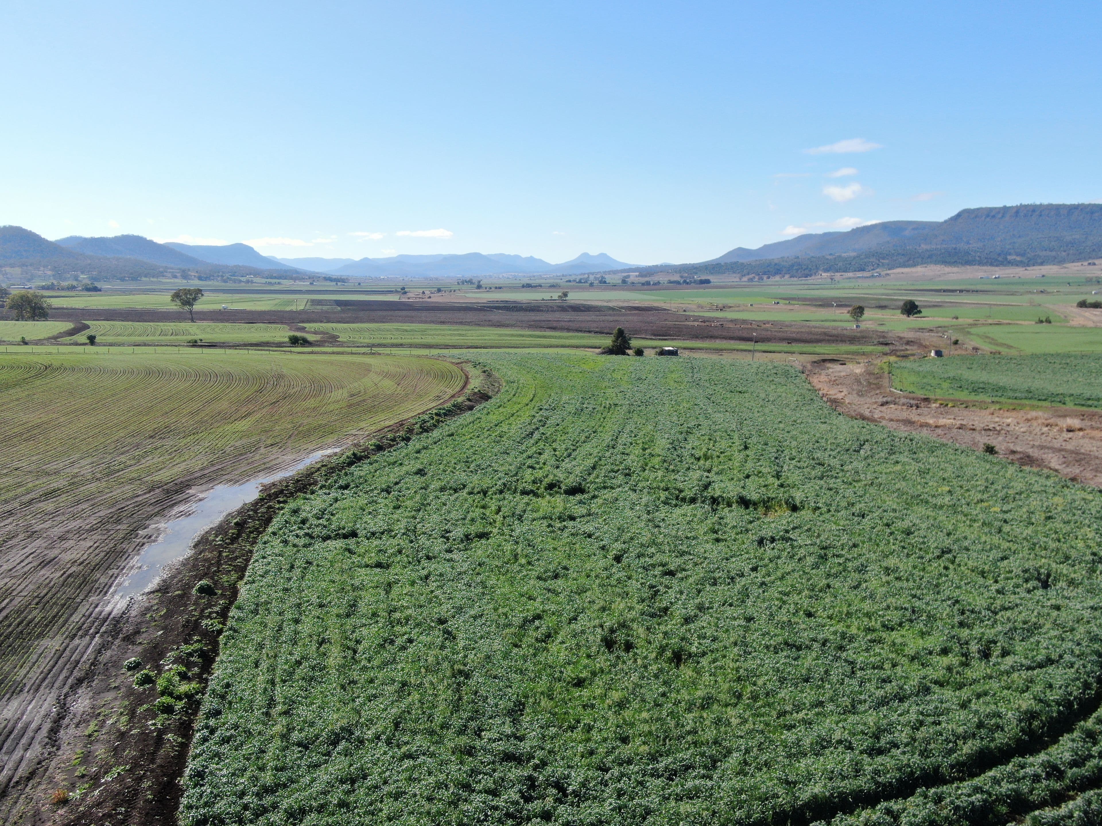 Lot 183 Doyles Road, Clintonvale QLD 4370, Clintonvale - Thumbnail 6