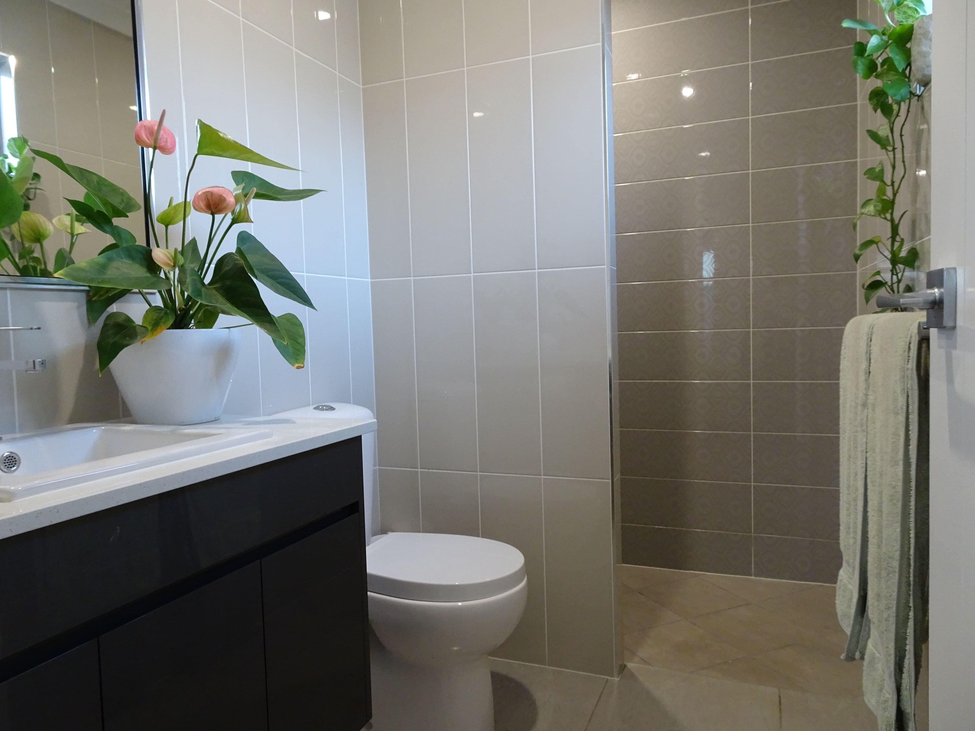 51 Primavera Boulevard, Beaconsfield QLD 4740, Beaconsfield - Thumbnail 5
