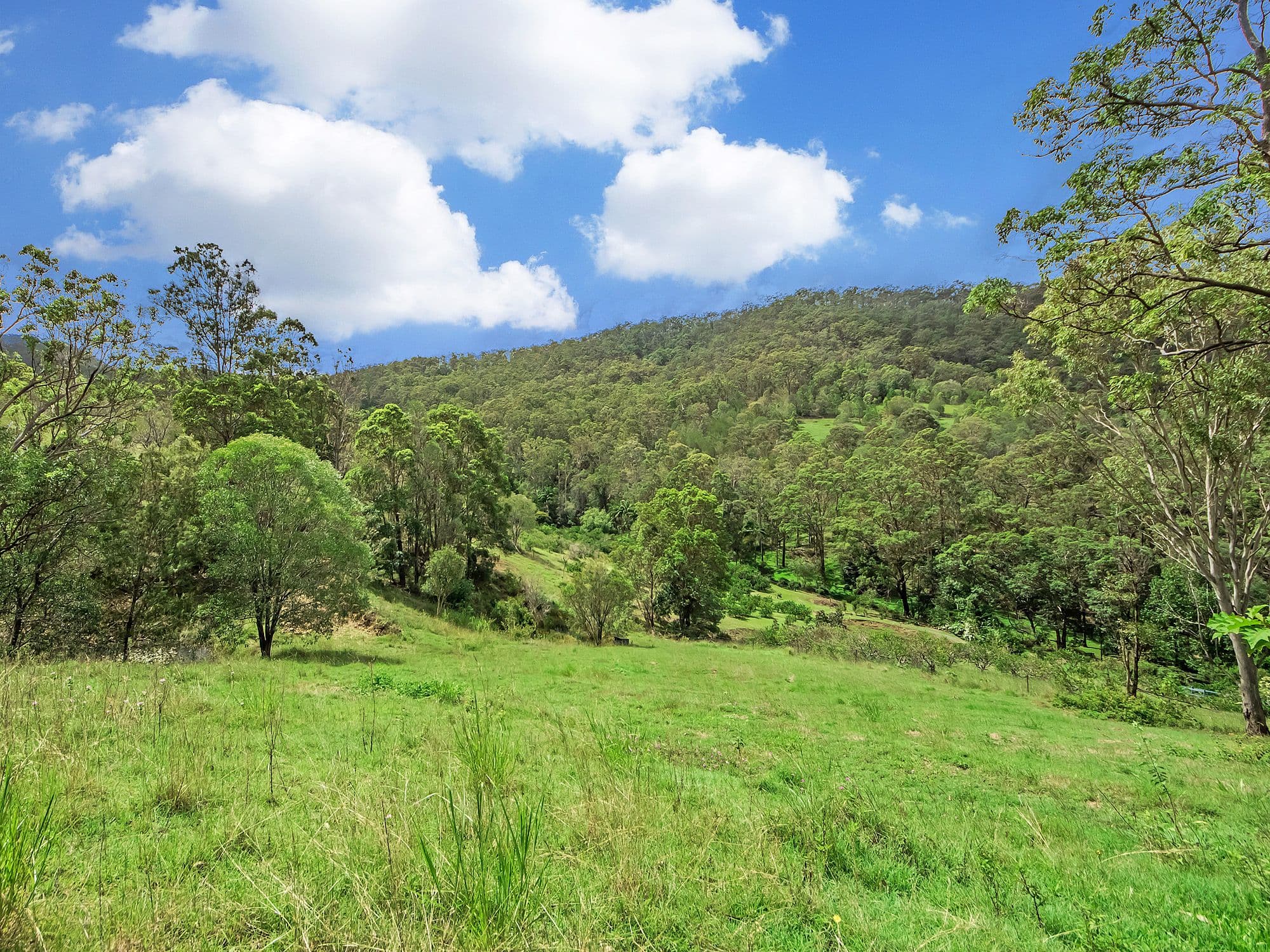 54 Elevation Drive, Wongawallan QLD 4210, Wongawallan - Thumbnail 8