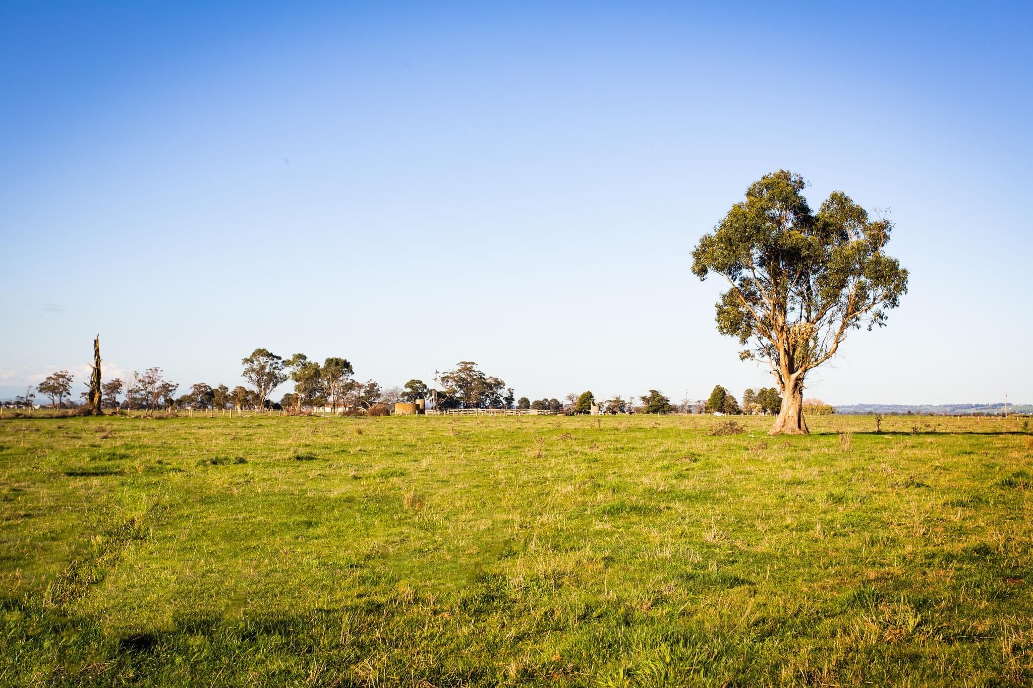 Lots 1 & 2 Simpson Road, Iona VIC 3815, Iona - Thumbnail 5