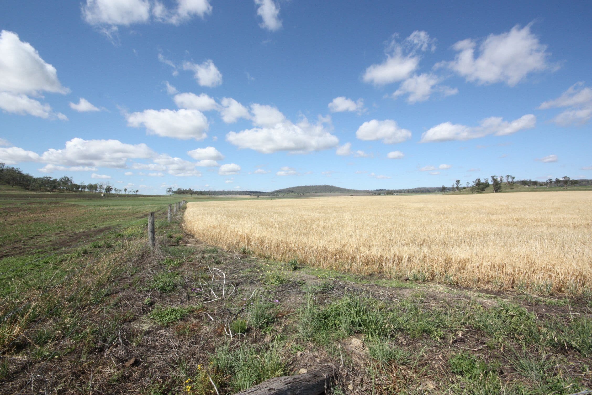 0 Richardson Road, Southbrook QLD 4363, Southbrook - Thumbnail 8
