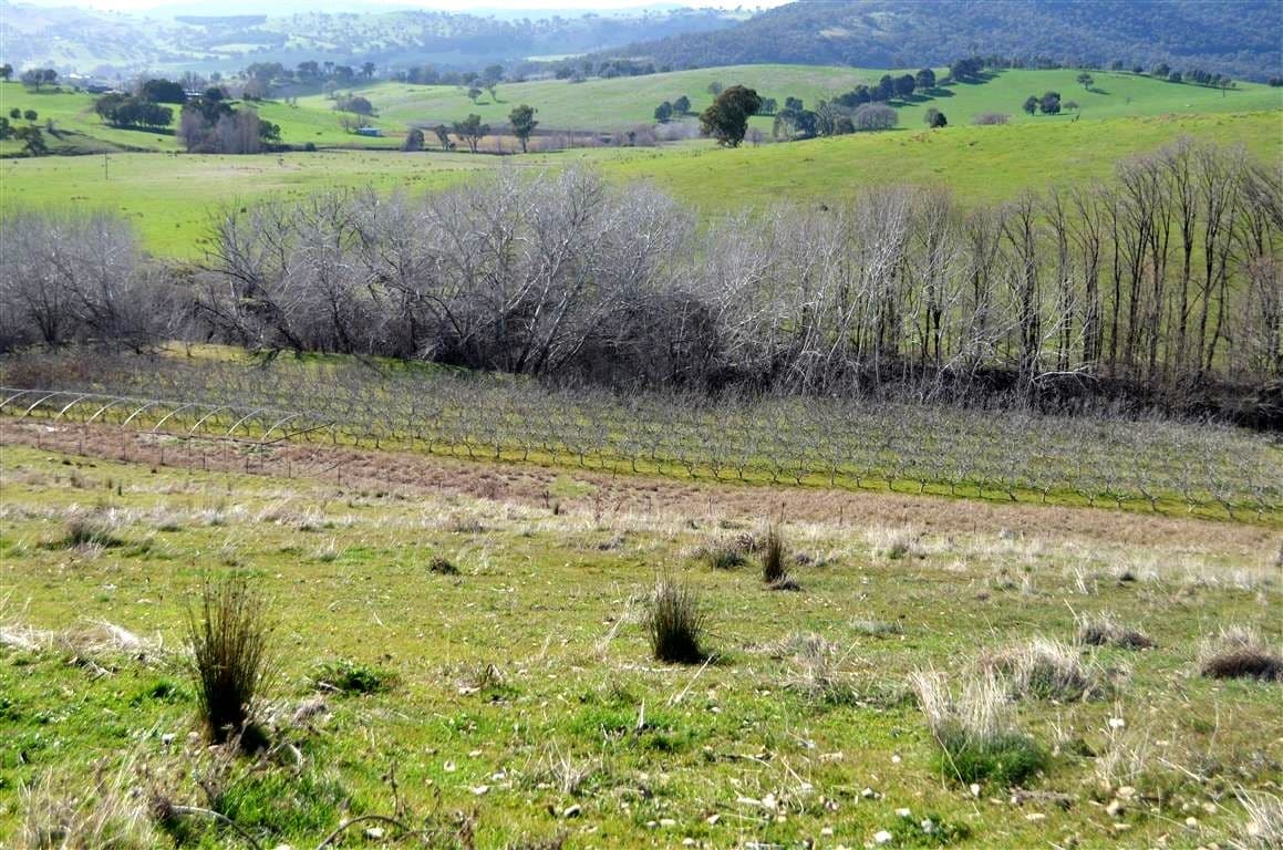 'Tanyard Creek' Stantons Road, ADELONG NSW 2729, Adelong - Thumbnail 8