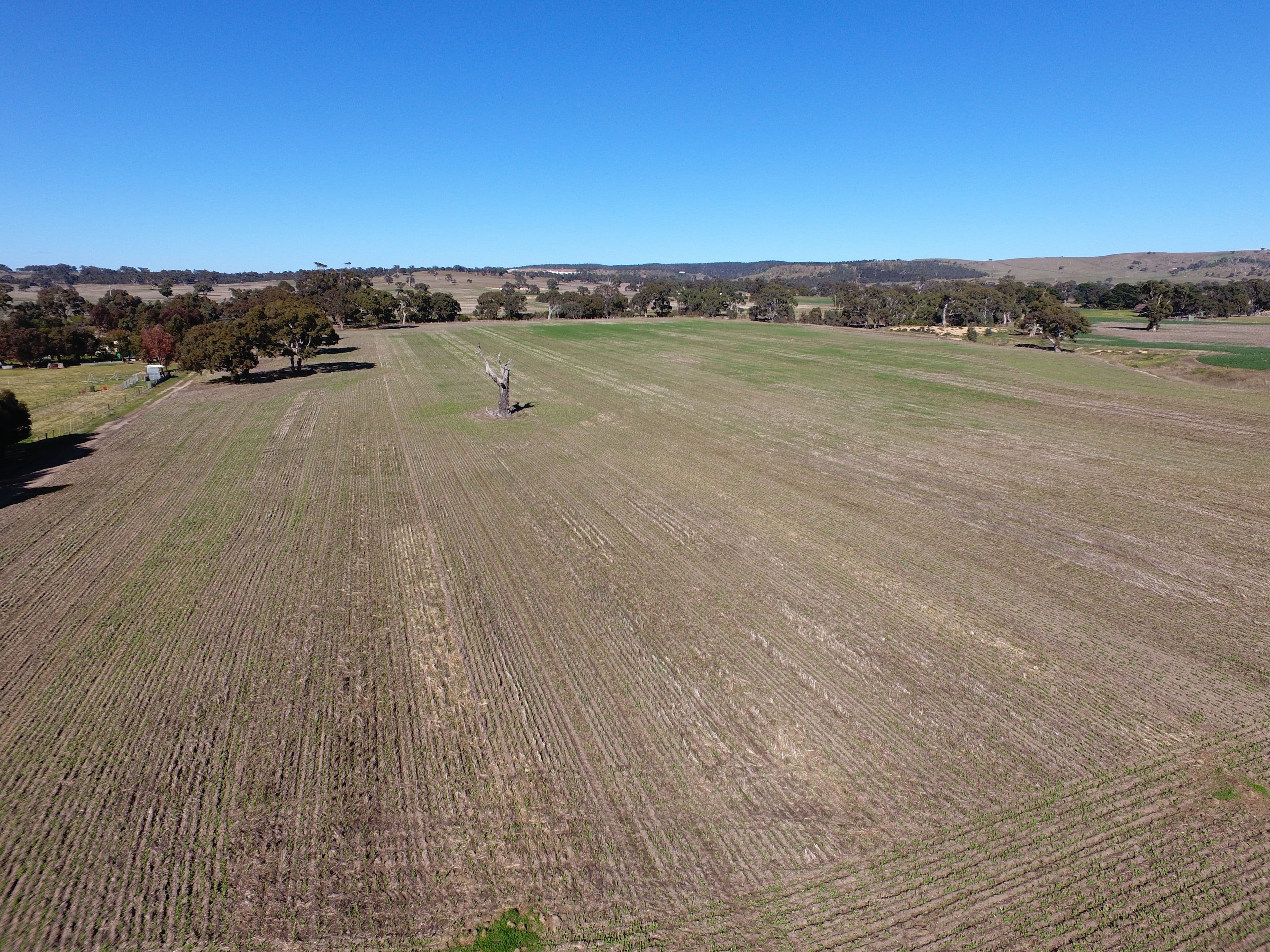 1096 Glenmore Road, Rowsley VIC 3340, Rowsley - Thumbnail 8