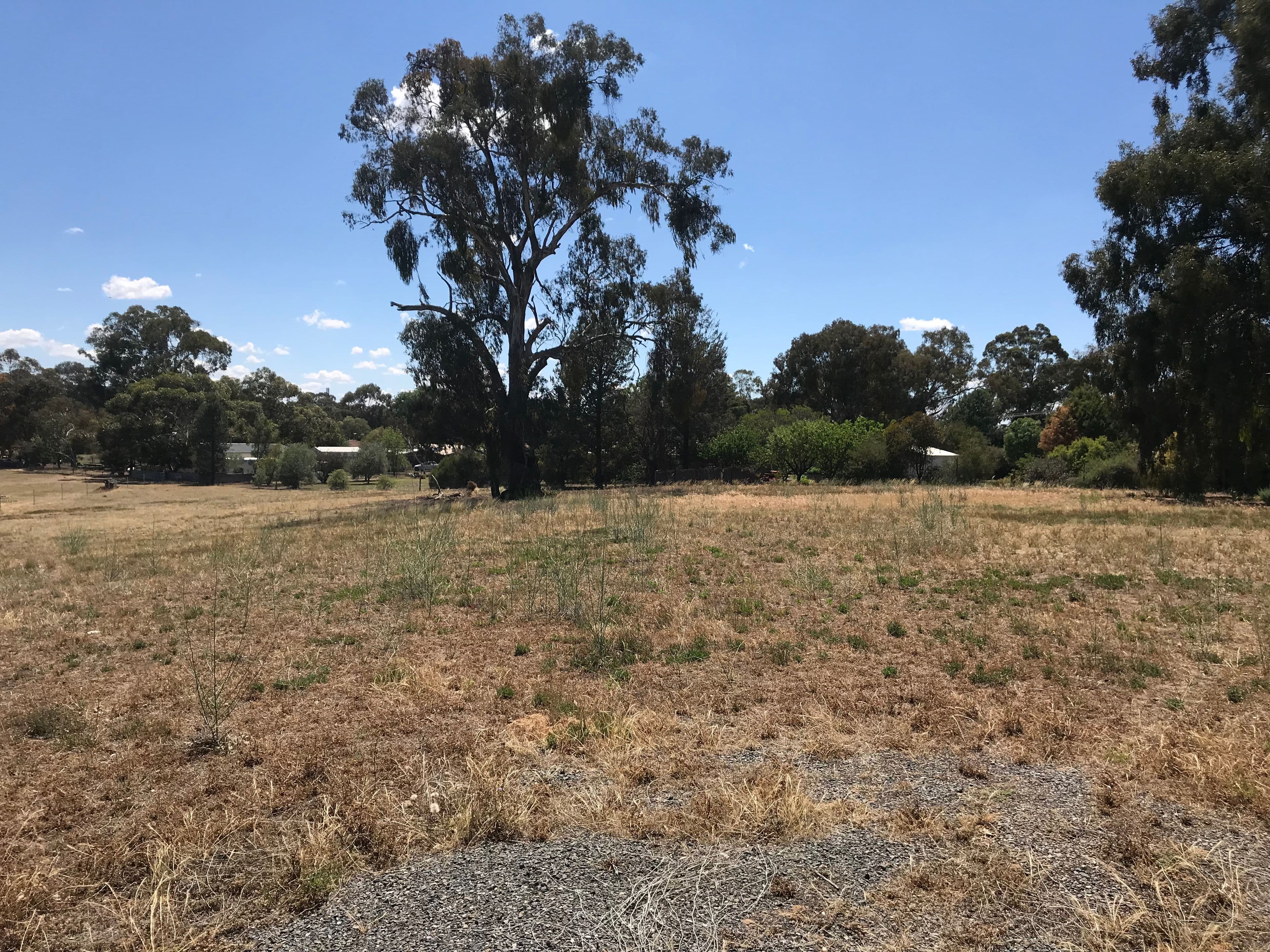 11-12 Ghost Gum Court, Mulwala NSW 2647, Mulwala - Image 1