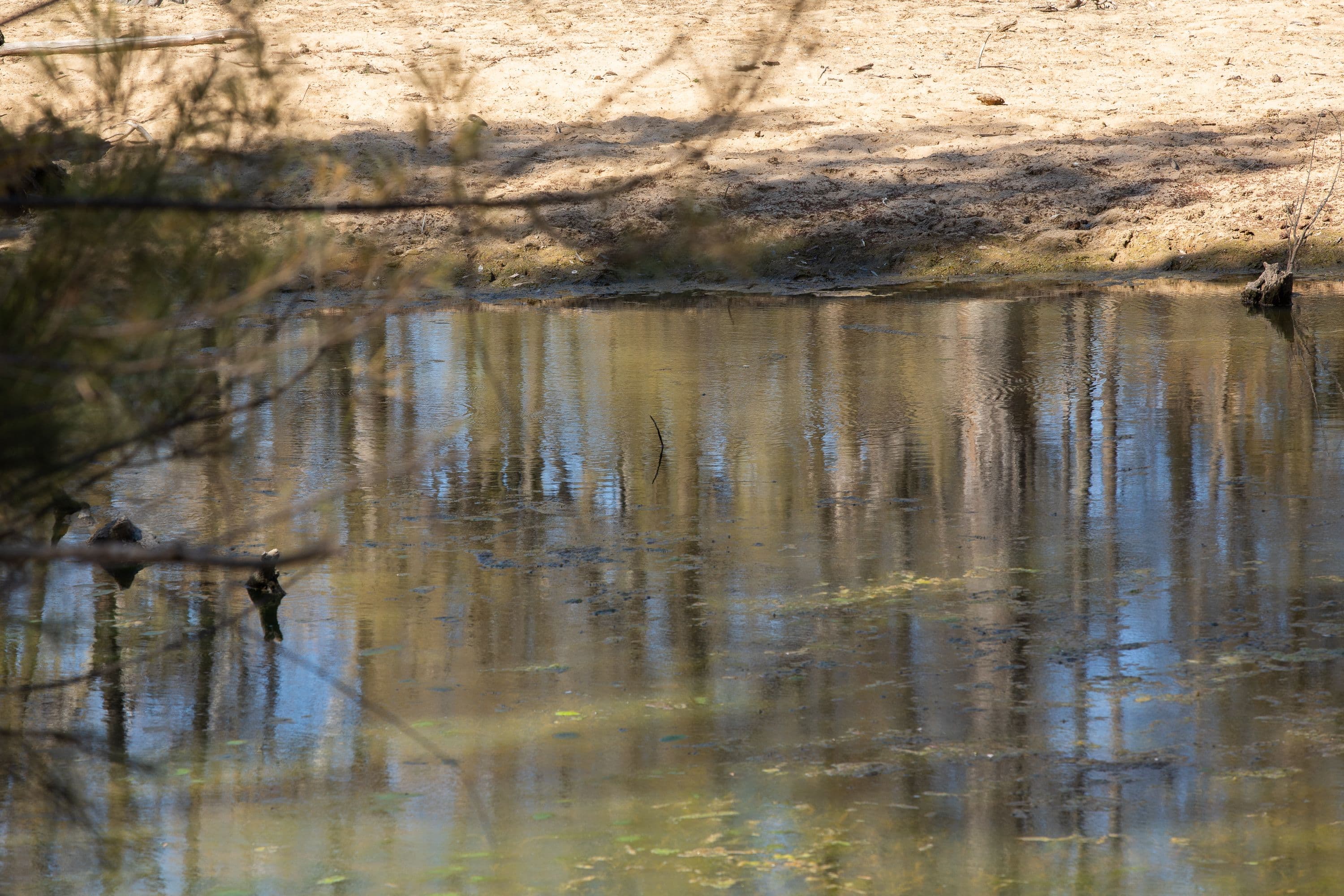 390 Gwydir River Road, Armidale NSW 2350, Armidale - Thumbnail 6
