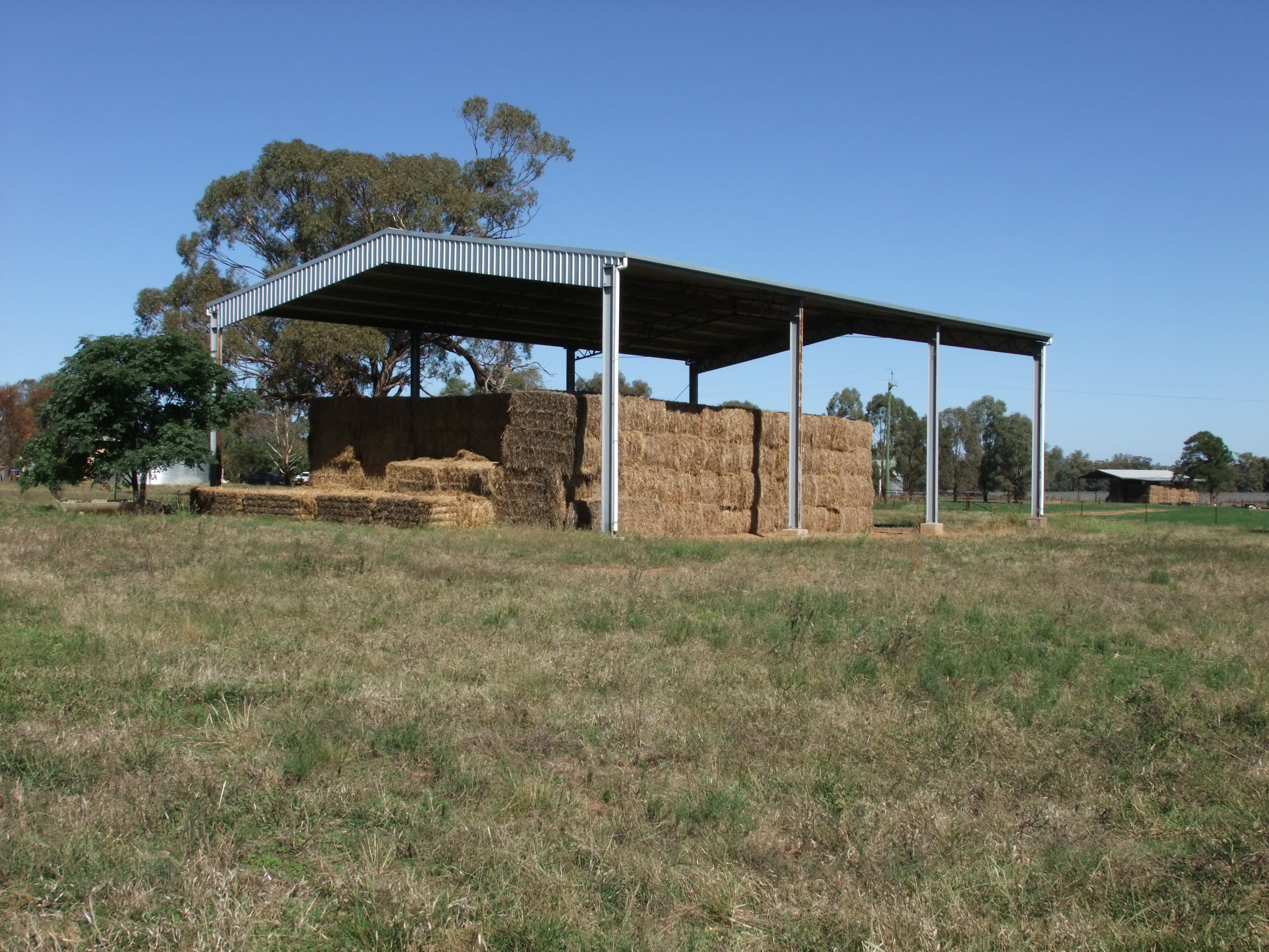 1592 Casuarina Drive, Gooloogong NSW 2805, Gooloogong - Thumbnail 7