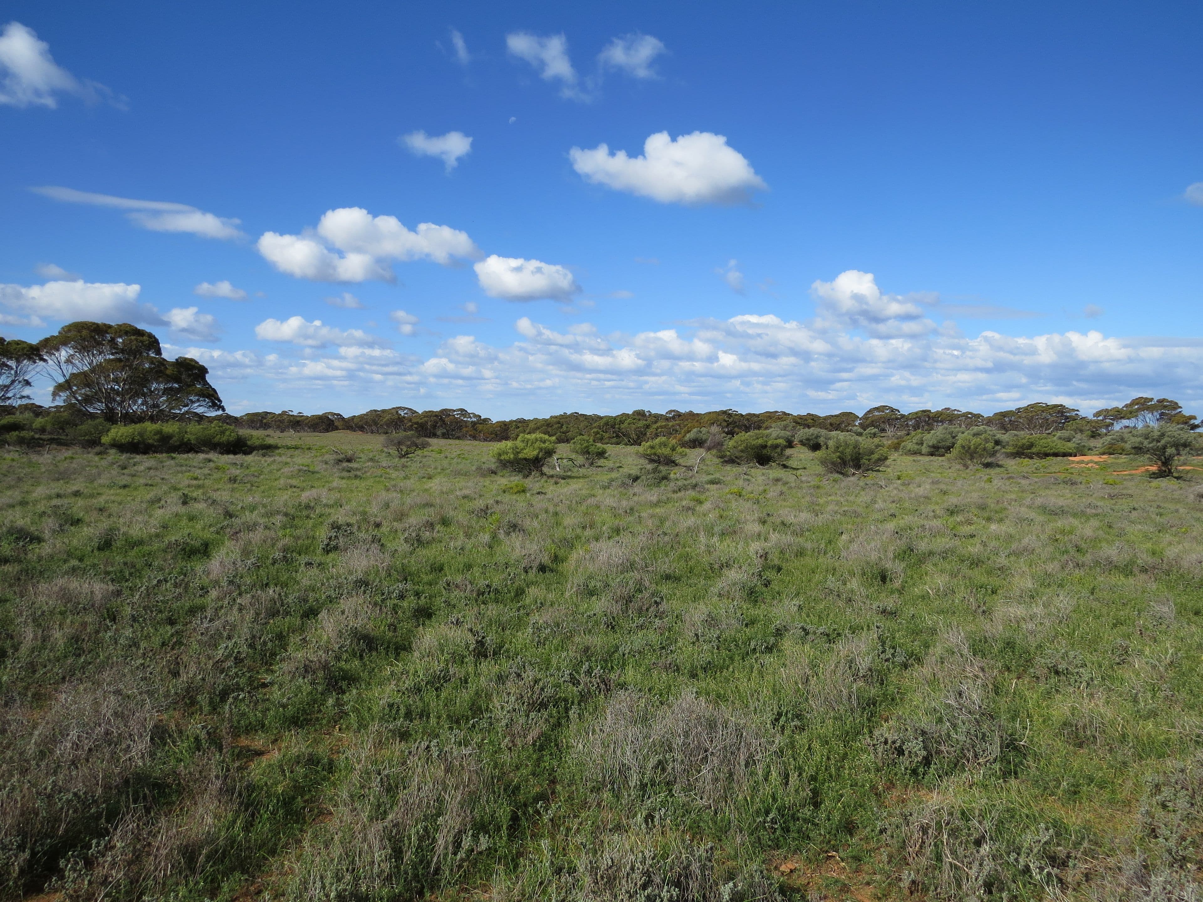 "Johns" Stock Route Road, Sutherlands SA 5374, Sutherlands - Thumbnail 4
