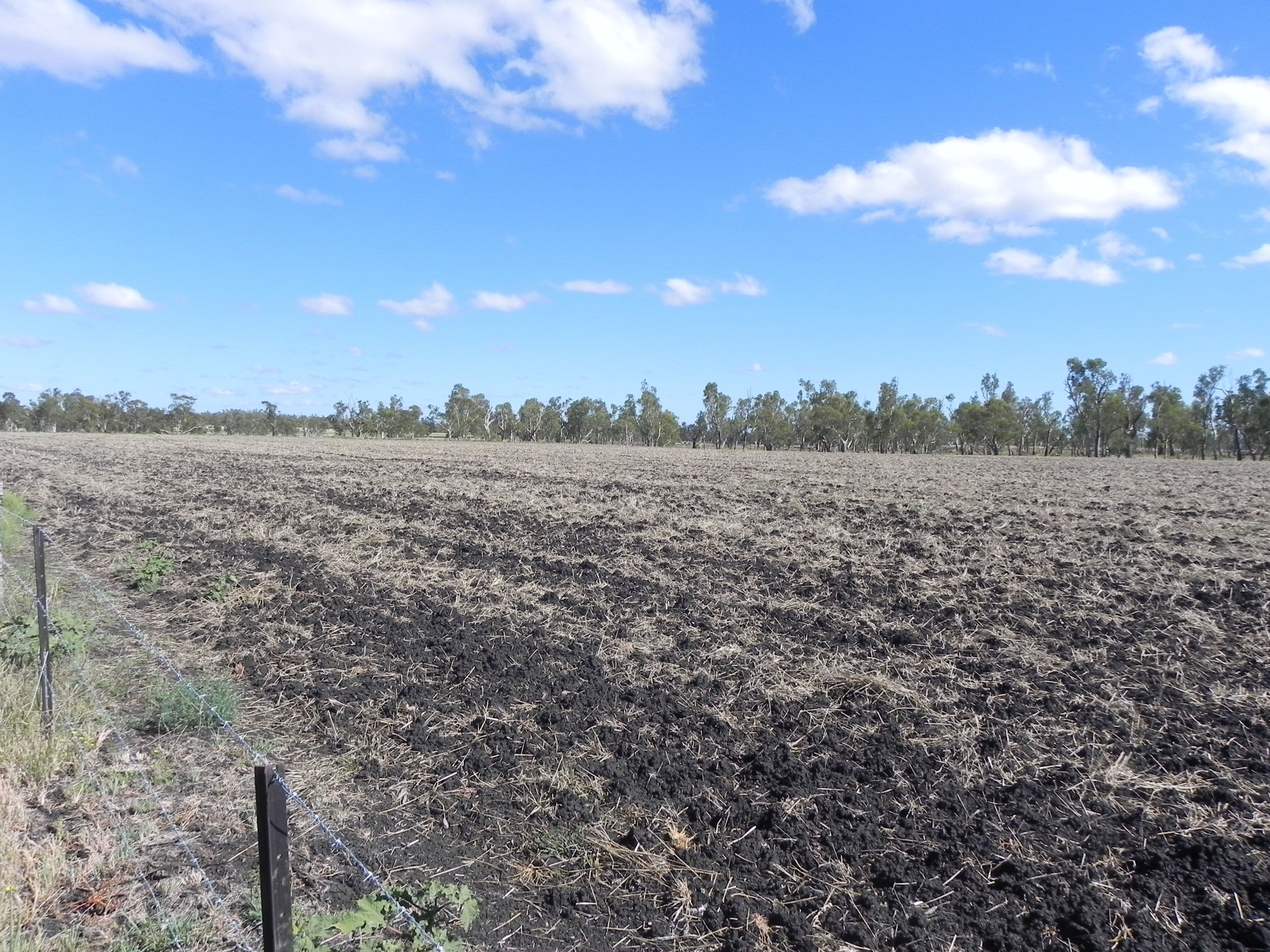 1663 Millmerran Leyburn Road, Tummaville QLD 4352, Tummaville - Thumbnail 7