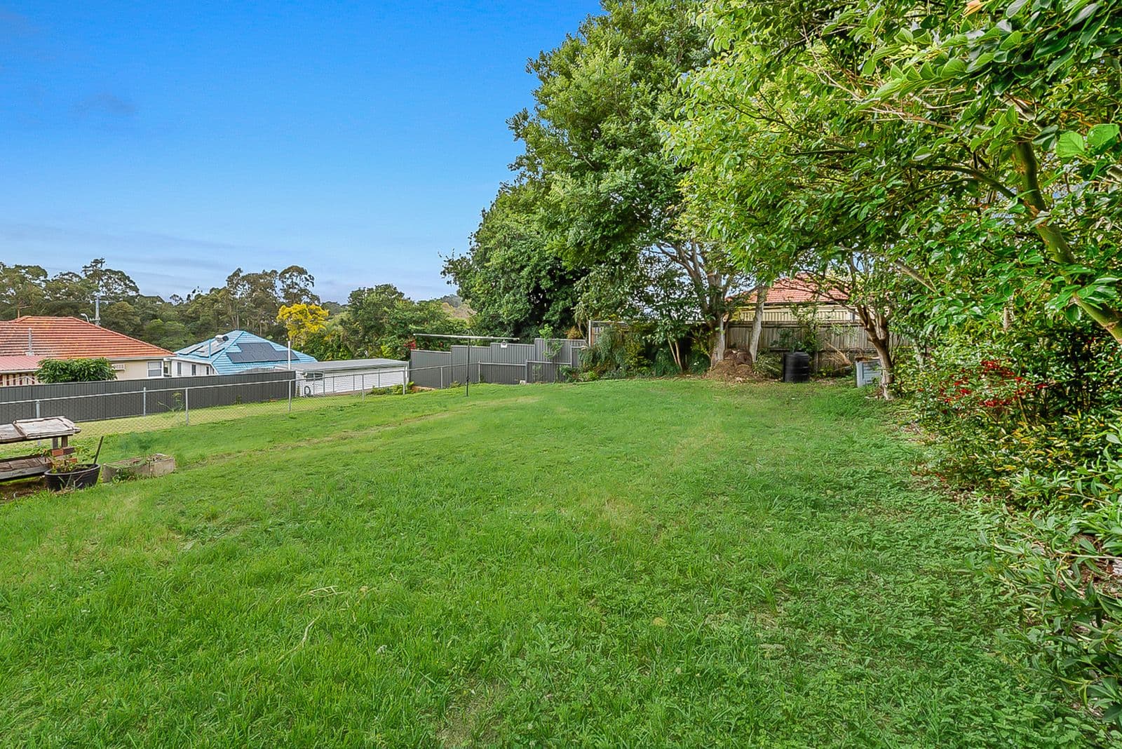 12 Brodie Street, Holland Park West QLD 4121, Holland Park West - Thumbnail 3