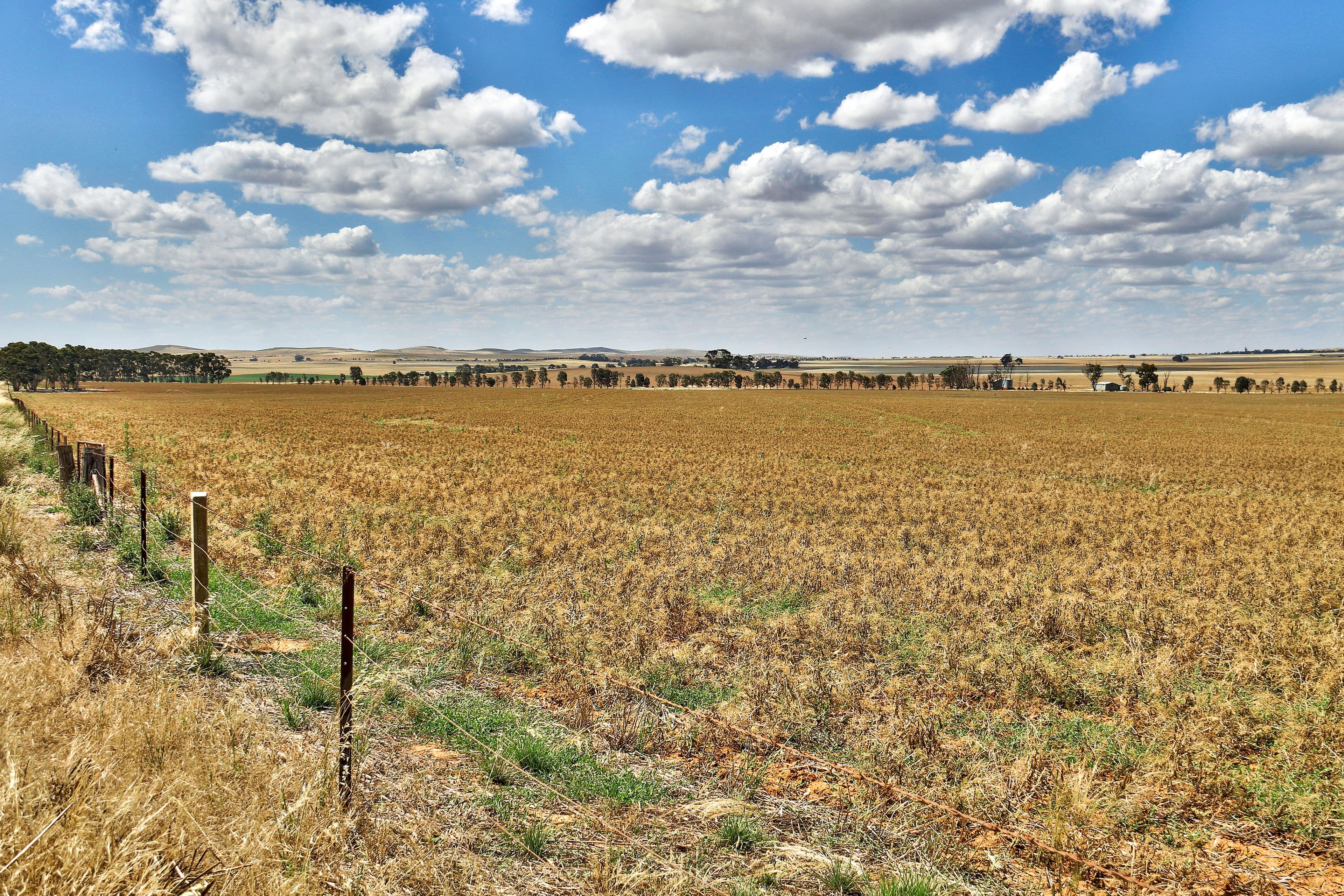"Donara" Donara Road, Mount Bryan SA 5418, Mount Bryan - Thumbnail 3