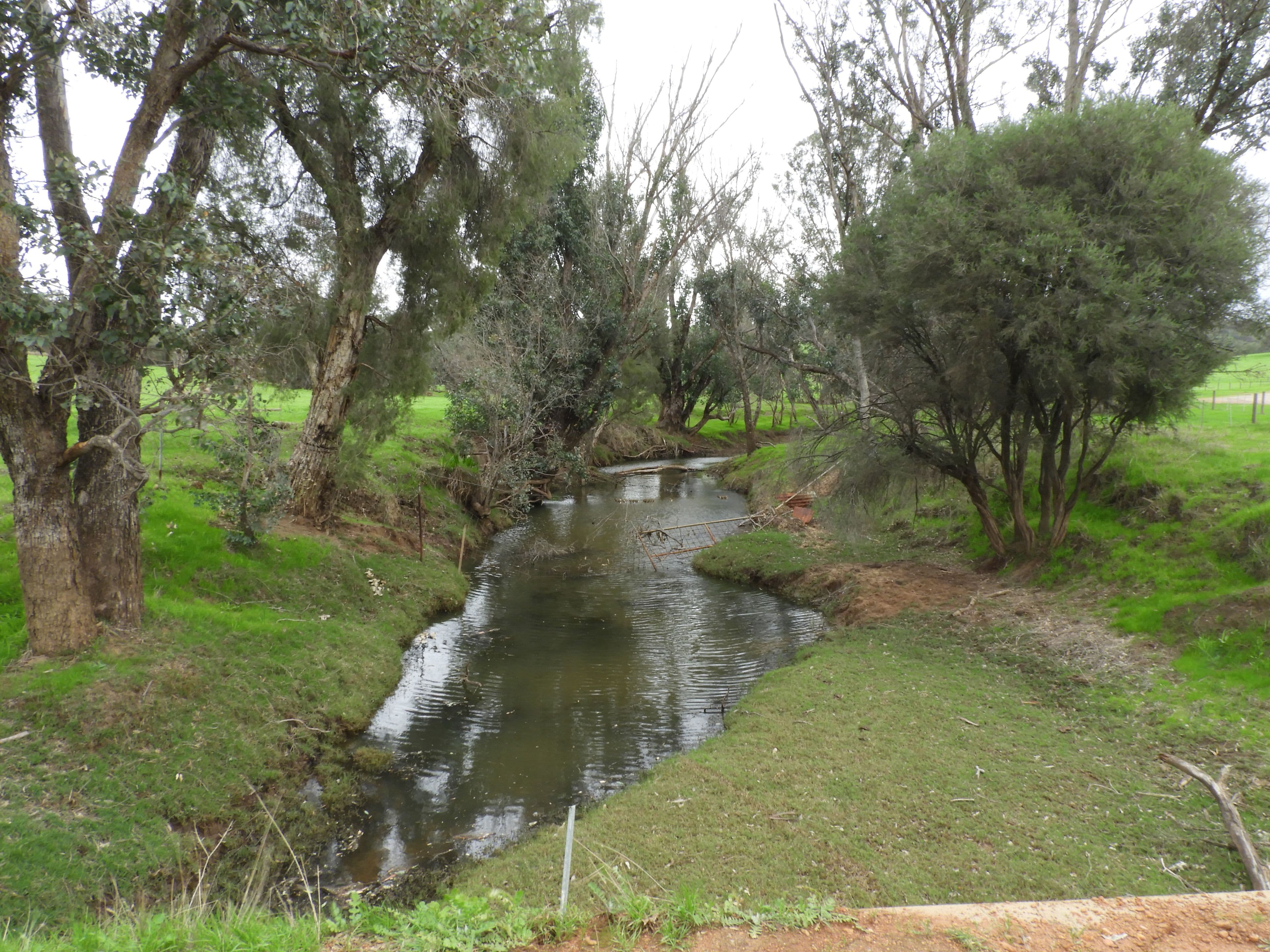 Lots 1280, 779,595,584,559,775, Lower Chittering Road, Chittering WA 6084, Chittering - Thumbnail 7