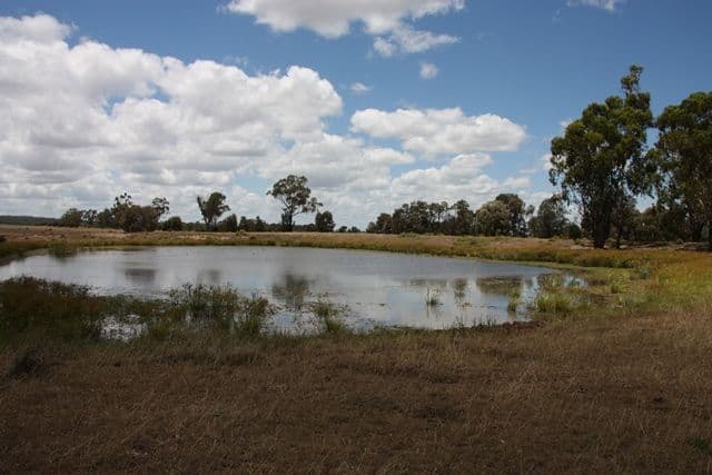 Jambin QLD 4702, Jambin - Thumbnail 2