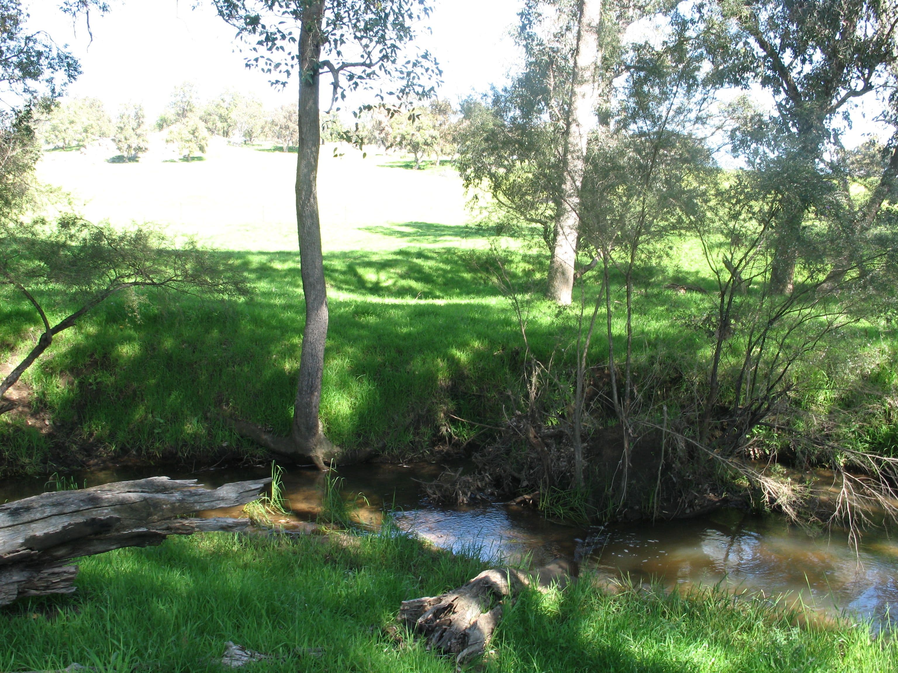 199 Morell Road, North Dandalup WA 6207, North Dandalup - Thumbnail 7