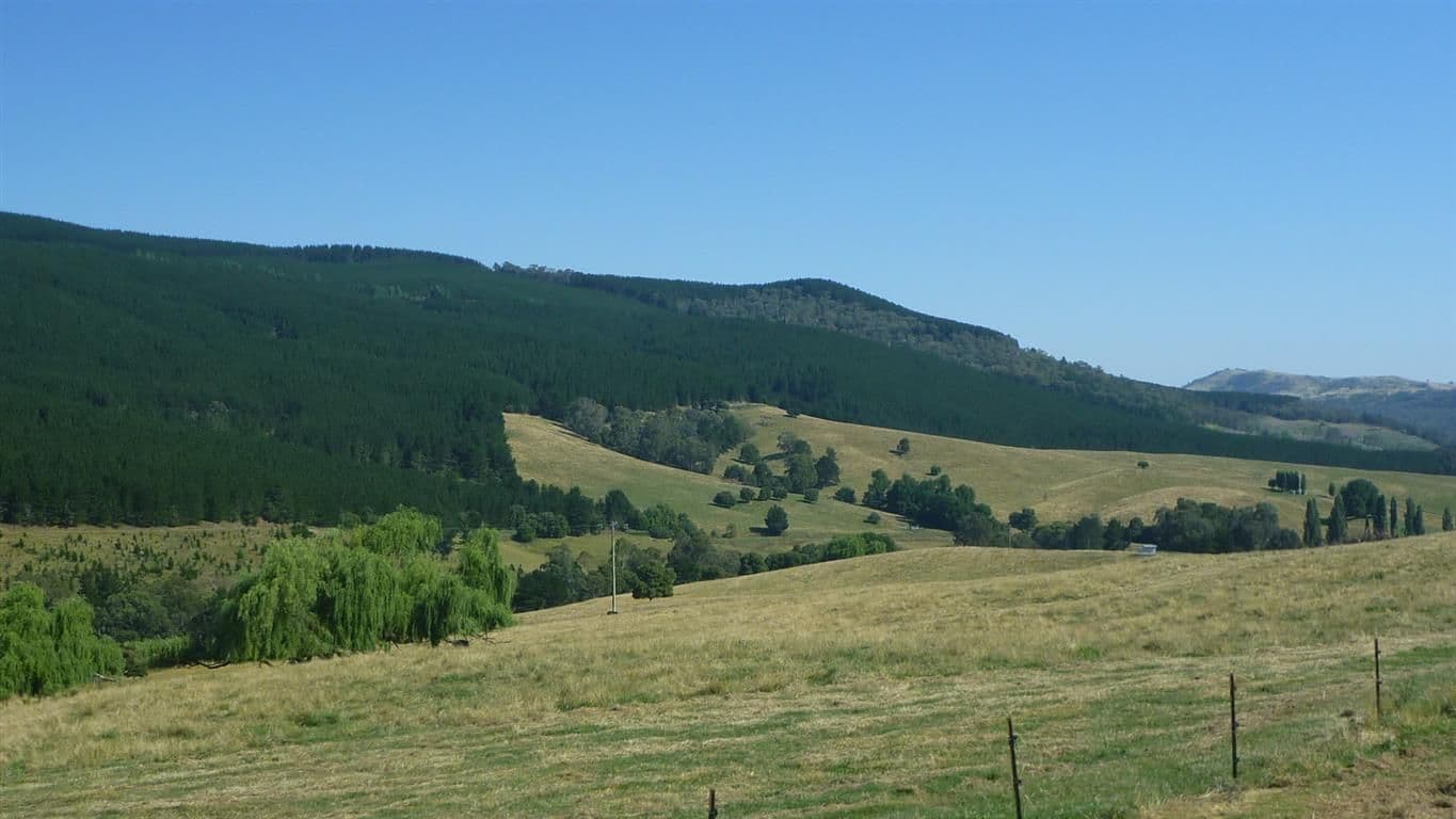 Lot 3 Old Tumbarumba Road, Tumut NSW 2720, Tumut - Image 1