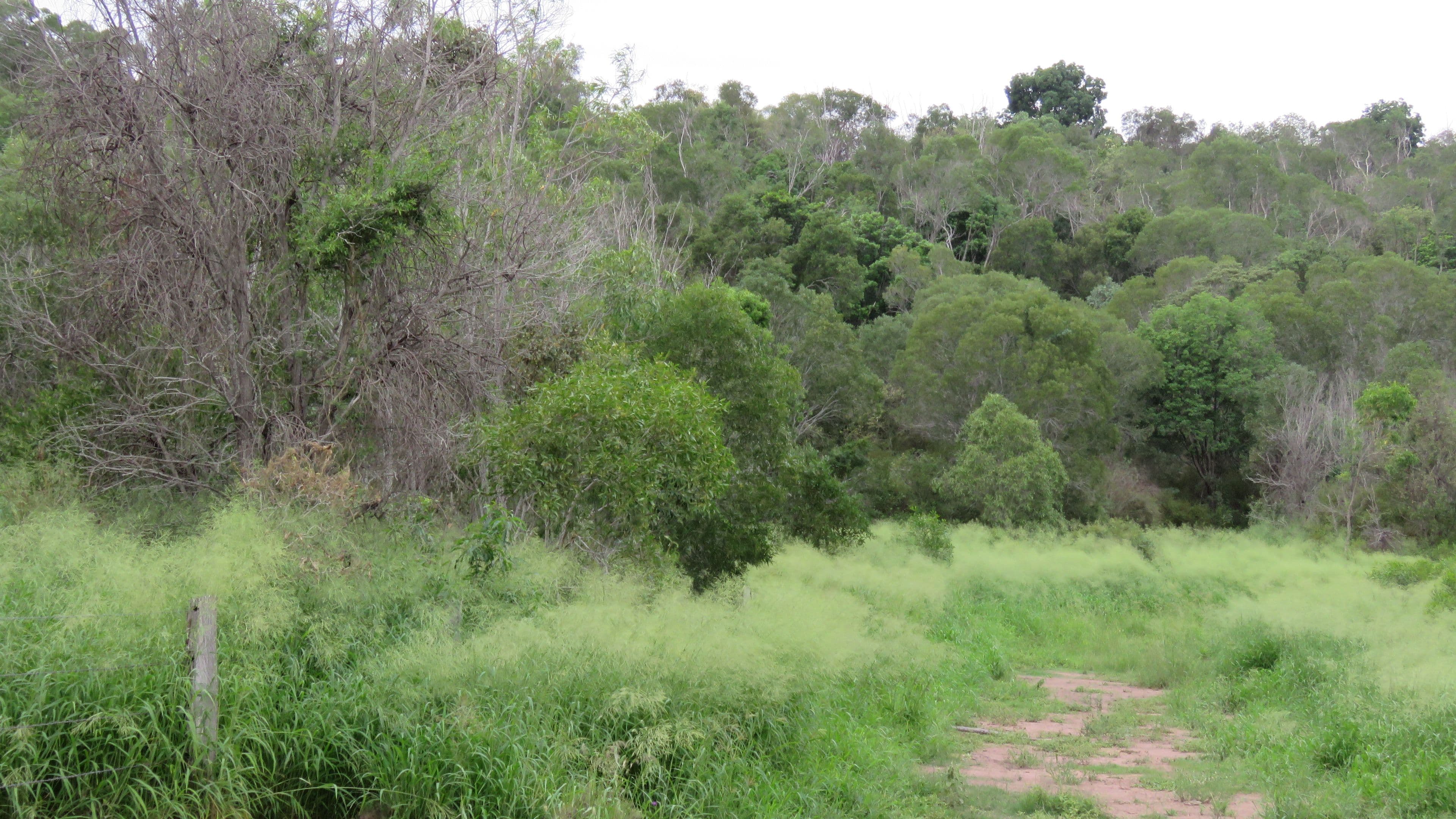 Lot 23 & 24 Proston Boondooma Road, Brigooda, Proston QLD 4613, Proston - Thumbnail 6