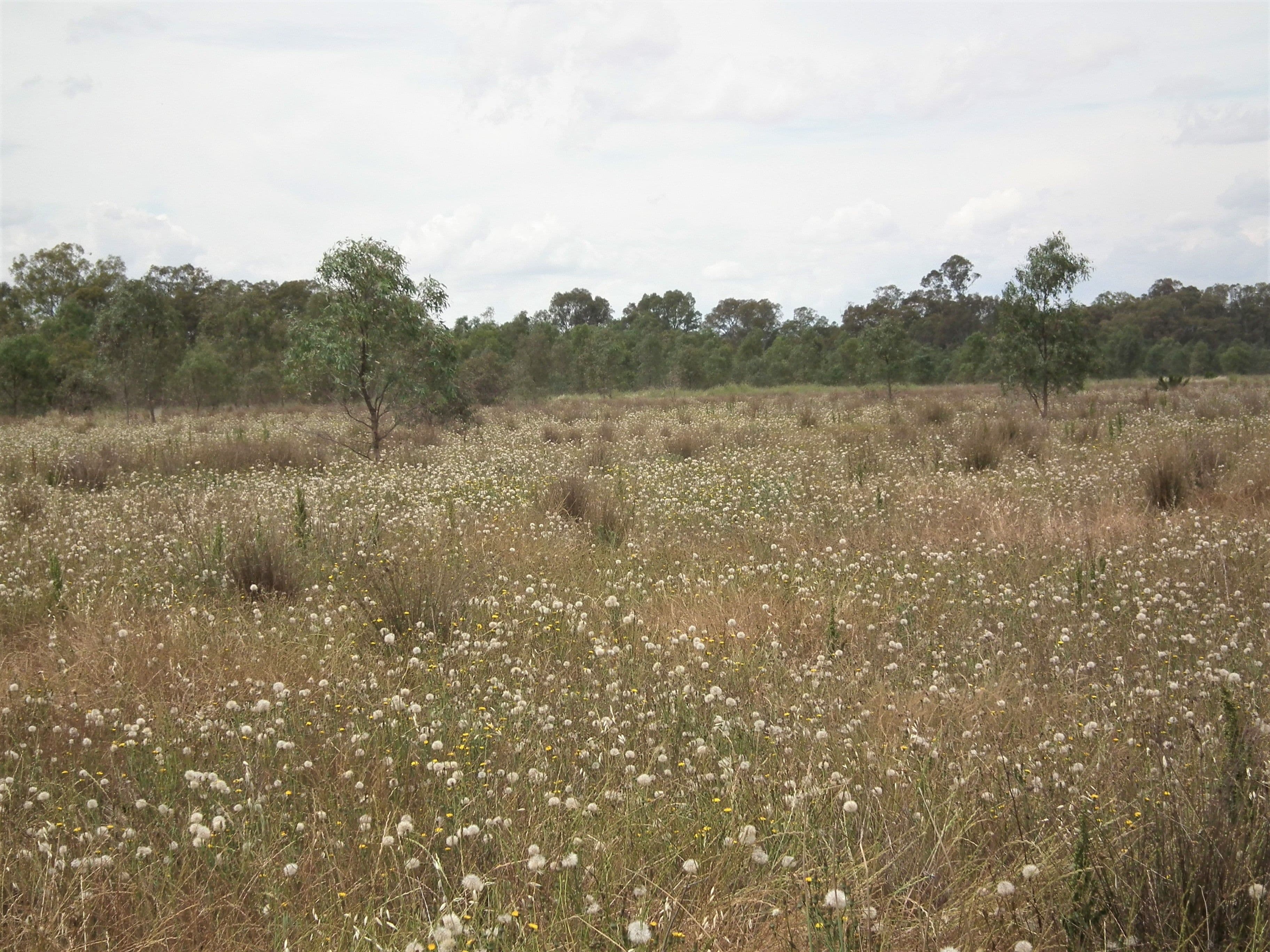 22 Wormangal-Wahring Road, Nagambie VIC 3608, Nagambie - Thumbnail 5
