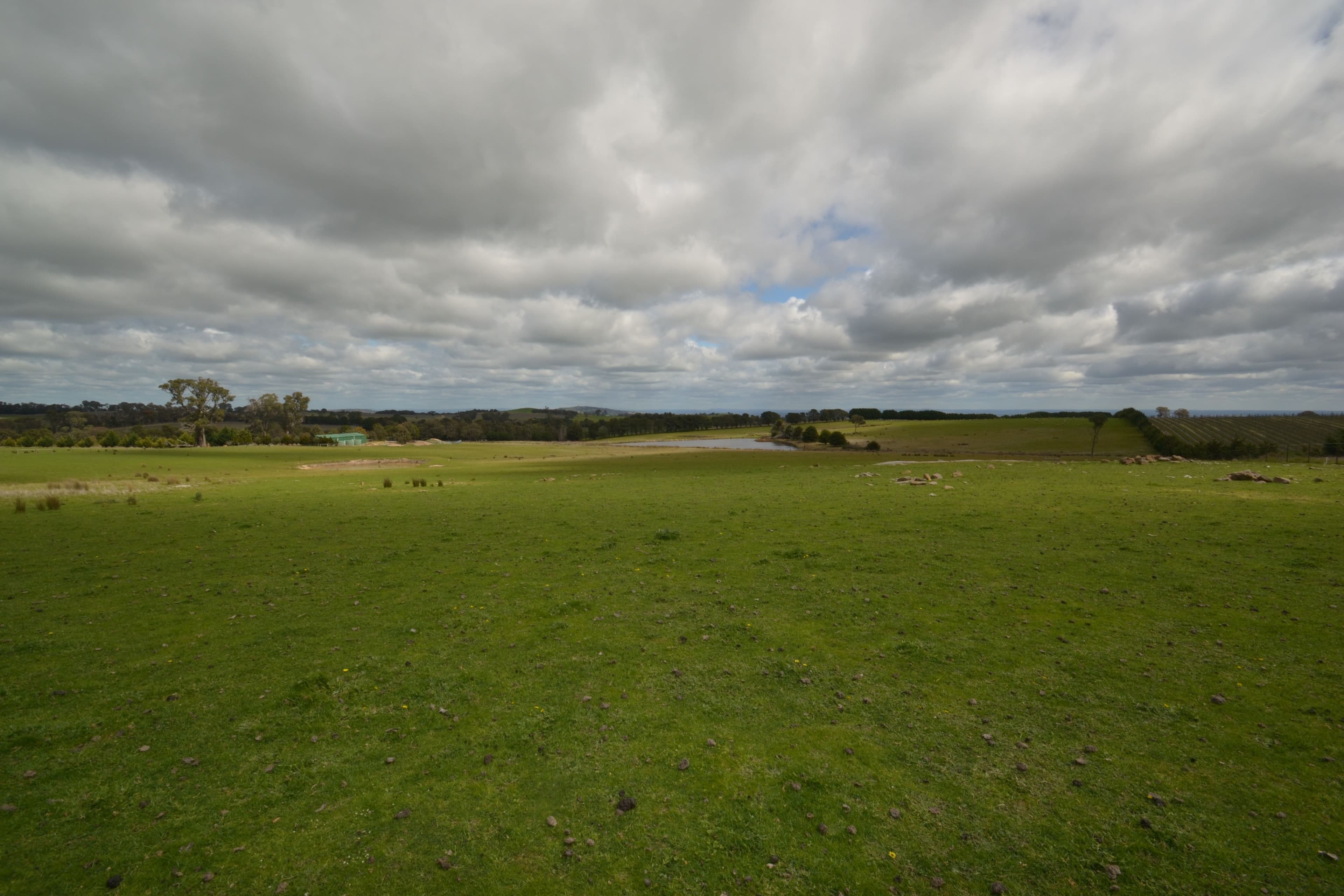 1549 Upton Road, Avenel VIC 3664, Avenel - Image 1
