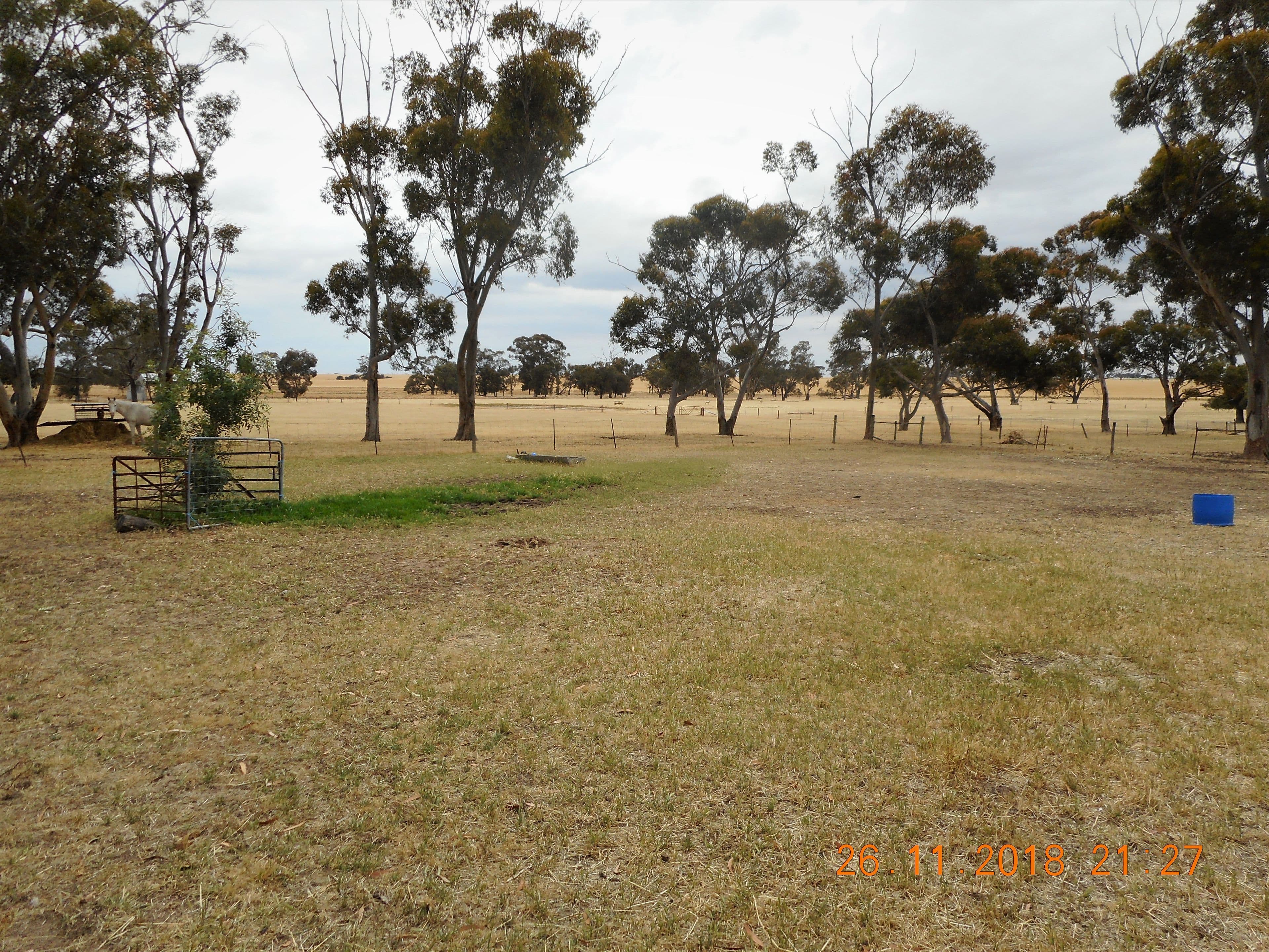 18241 Dukes Highway, Bordertown SA 5268, Bordertown - Thumbnail 3