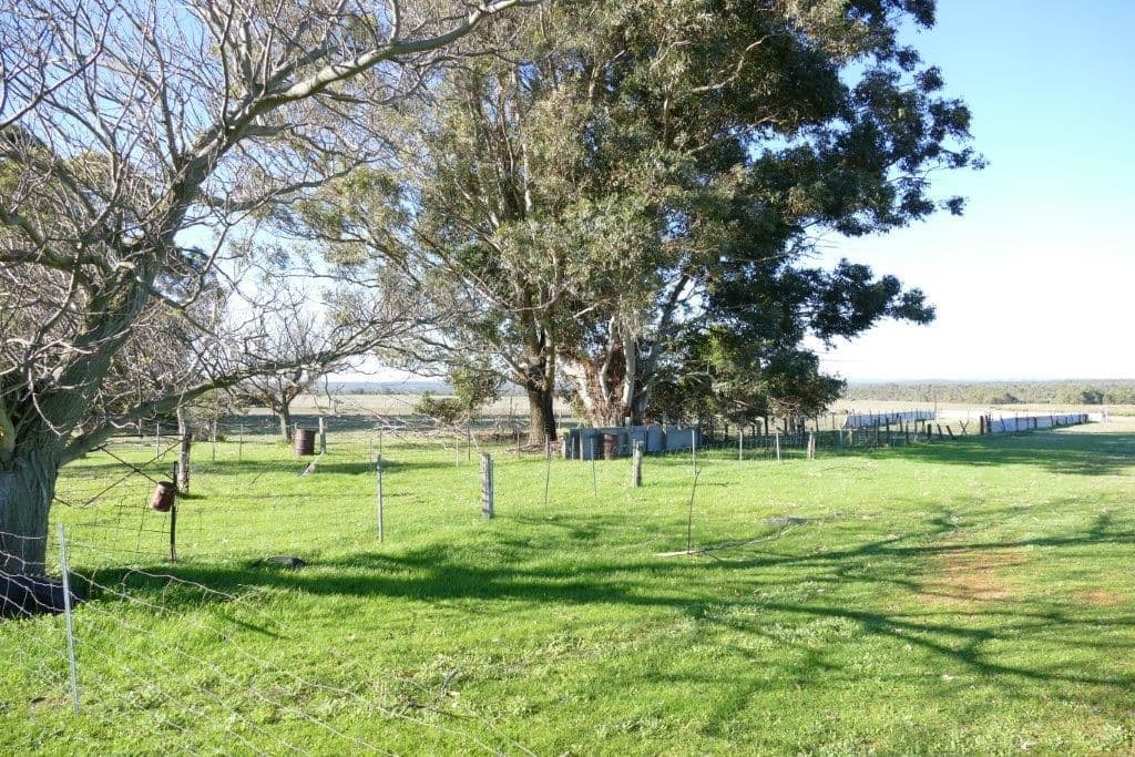 Twin Rivers Farm, 1960 Wannamal Road West, Gingin WA 6503, Gingin - Image 1
