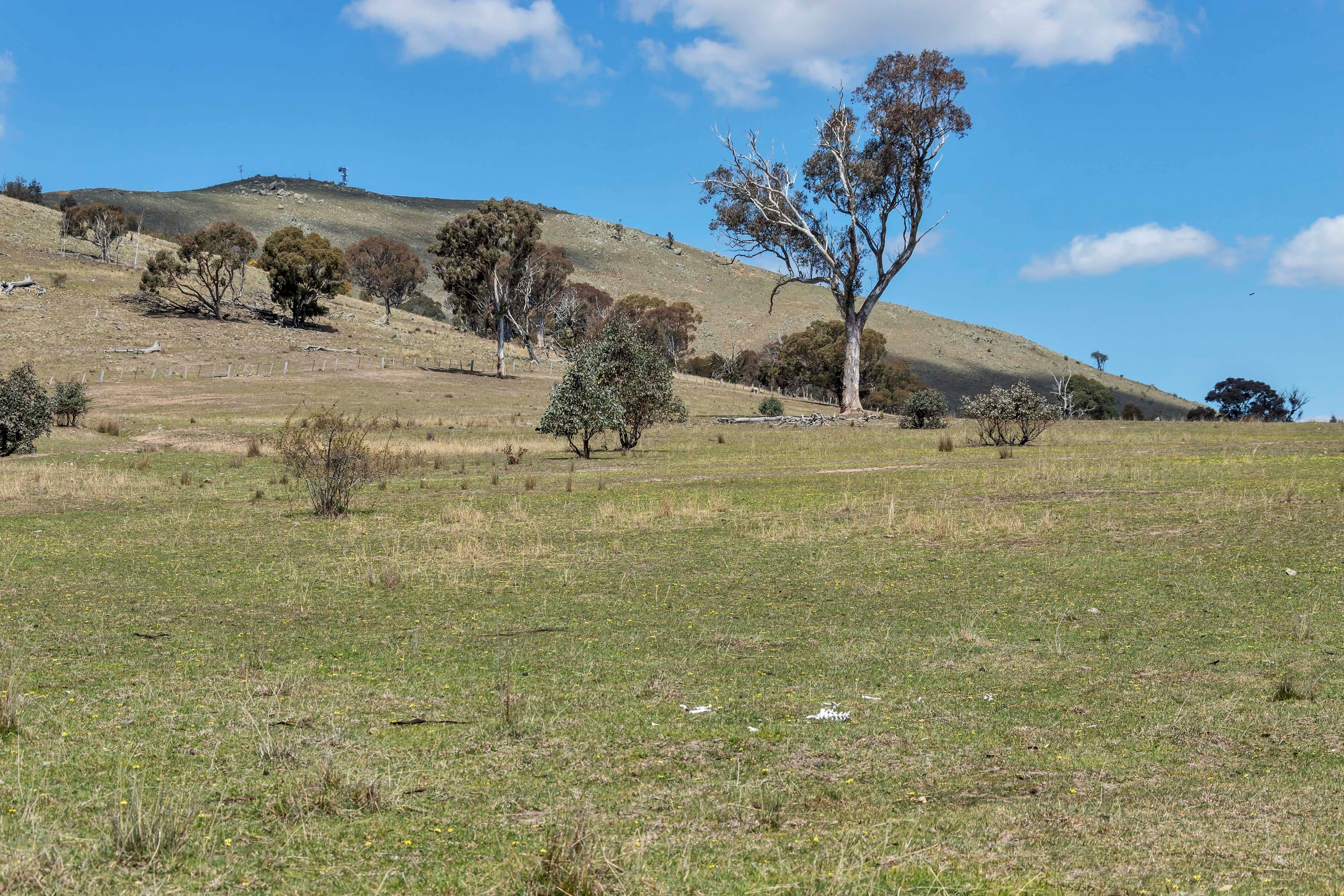 Lot 2 Nanima Road, Springrange NSW 2618, Springrange - Thumbnail 7