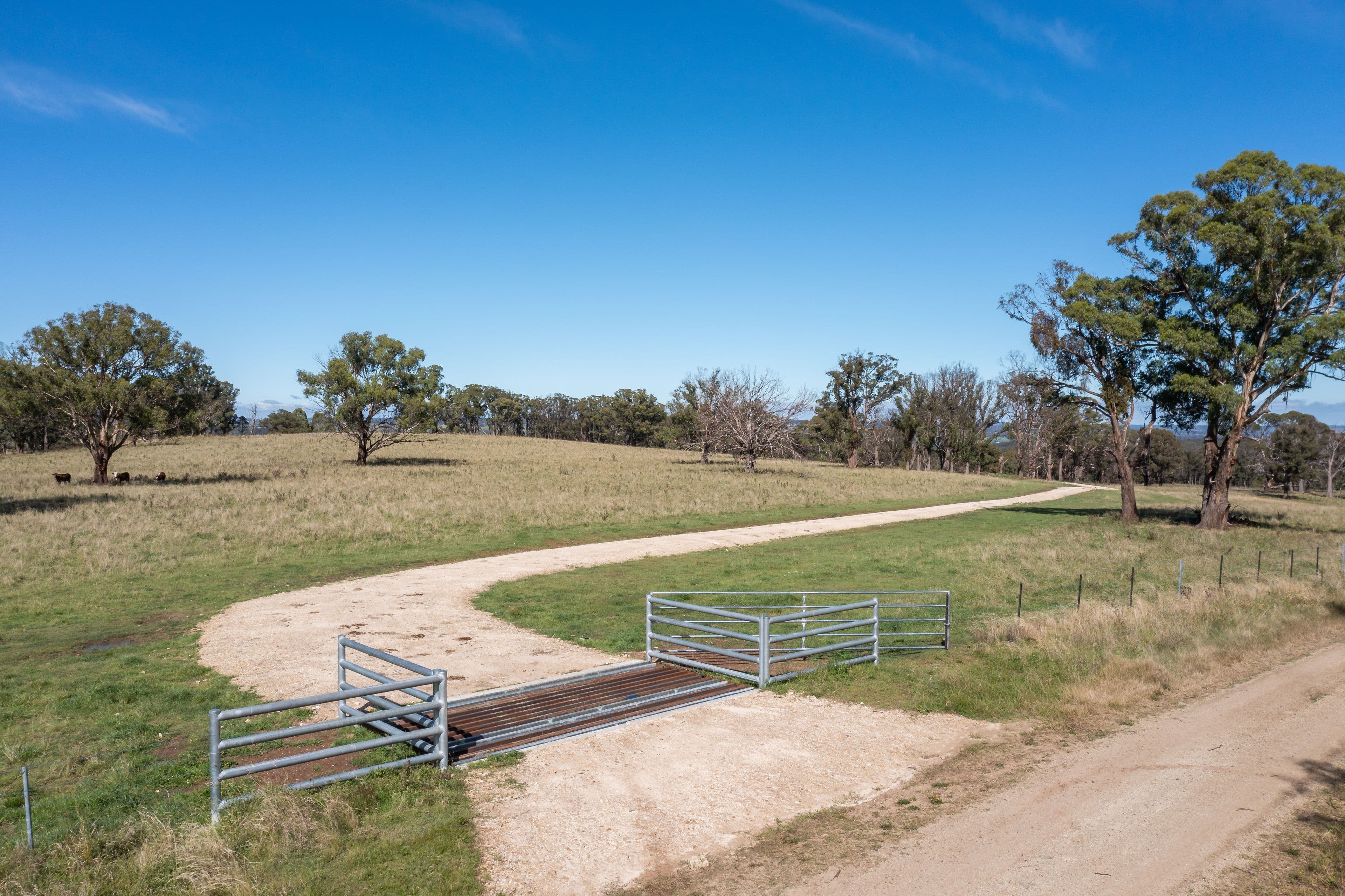 479 Whans Road, Llangothlin NSW 2365, Llangothlin - Thumbnail 7