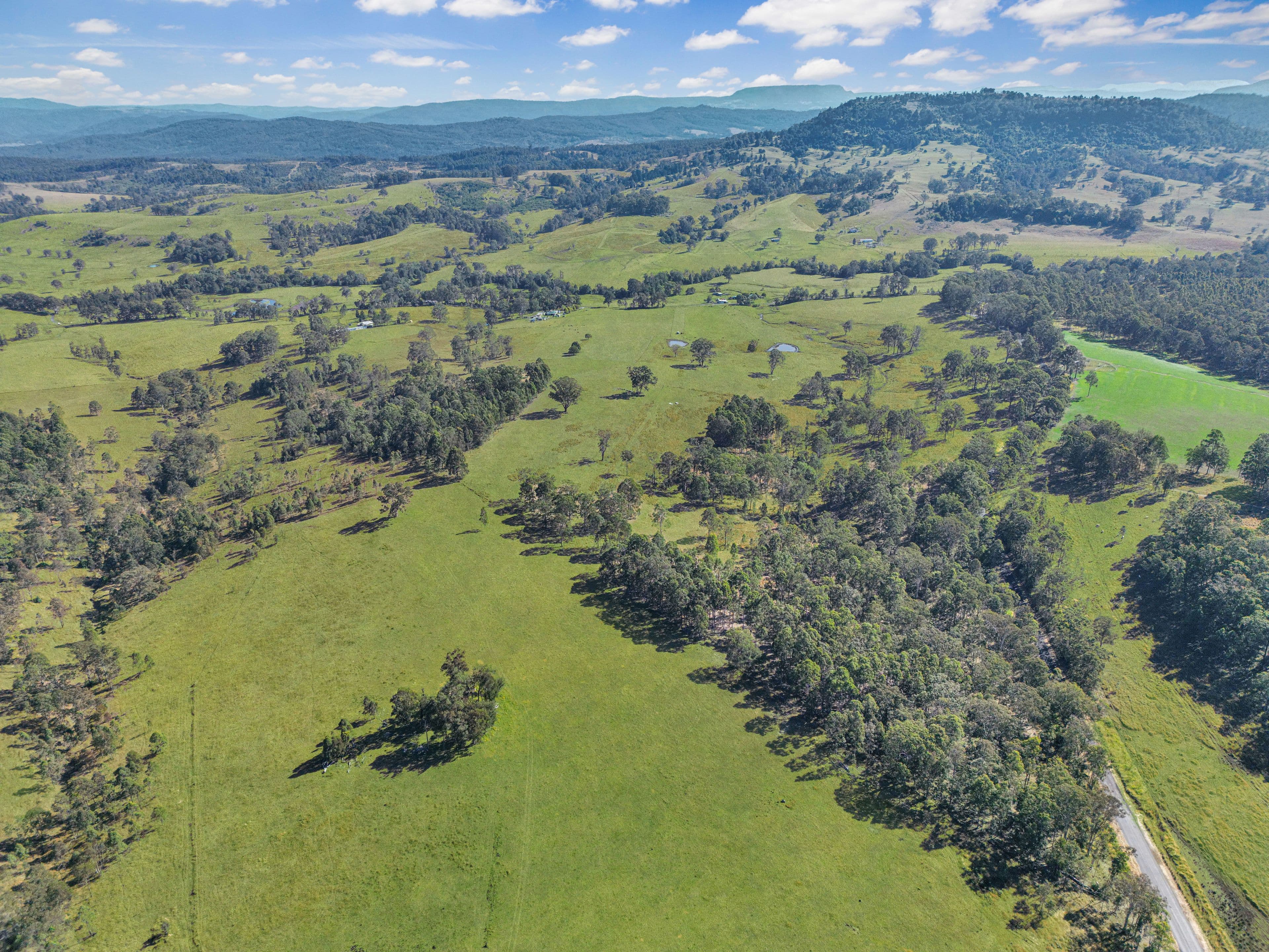 46 Tabulam Road, Bottle Creek NSW 2469, Bottle Creek - Thumbnail 8