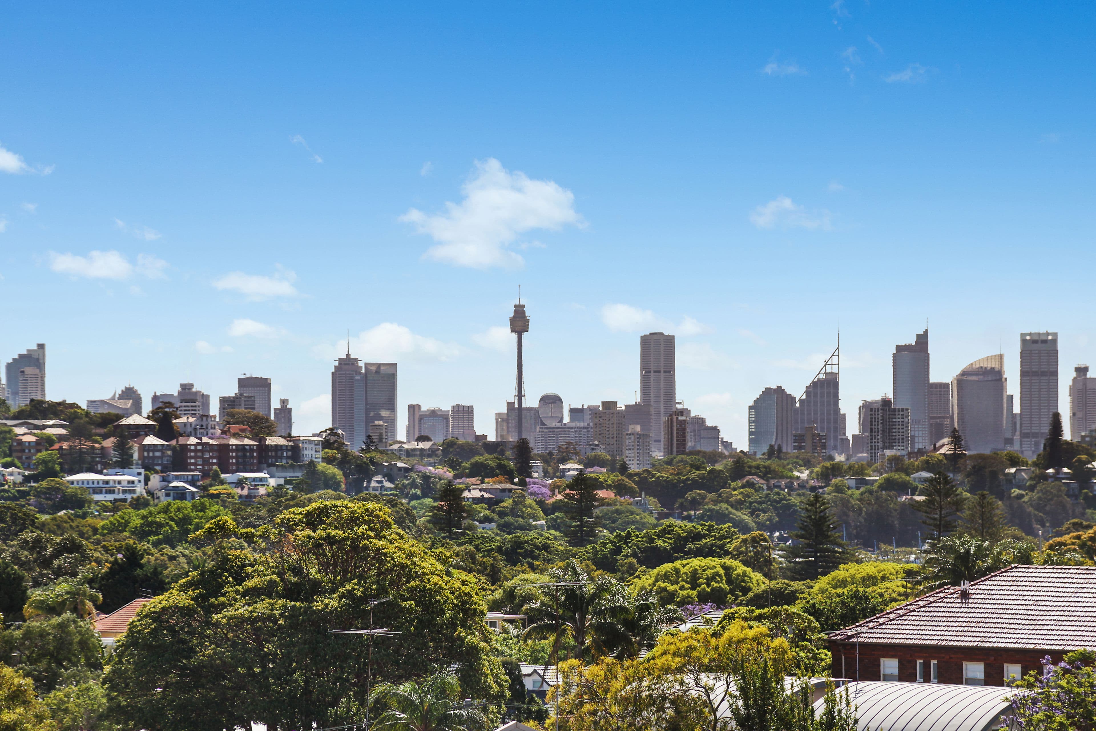 34 Hamilton Street, Rose Bay NSW 2029, Rose Bay - Thumbnail 5
