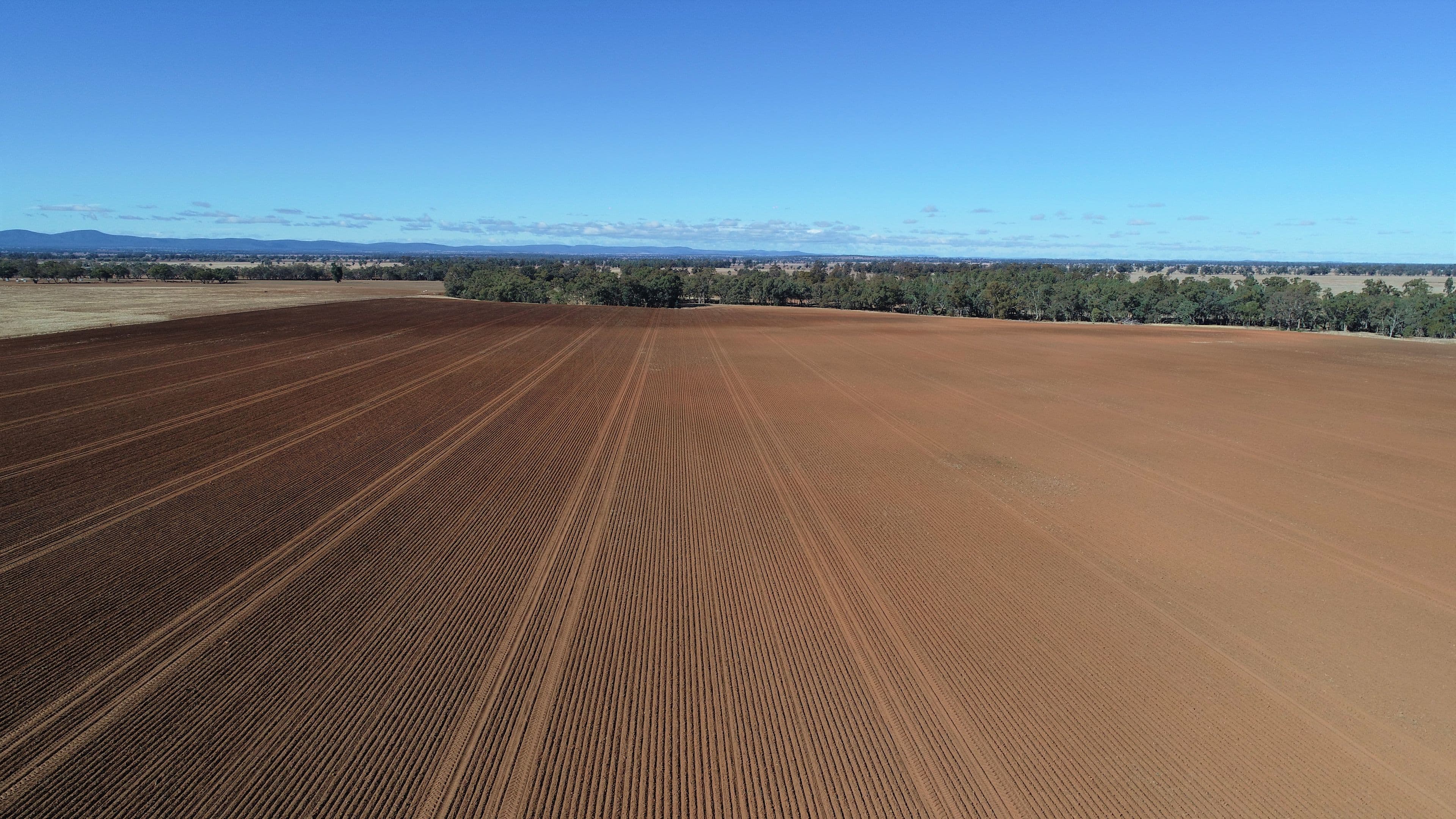Rosehill and Windella, PEAK HILL NSW 2869, Peak Hill - Thumbnail 4
