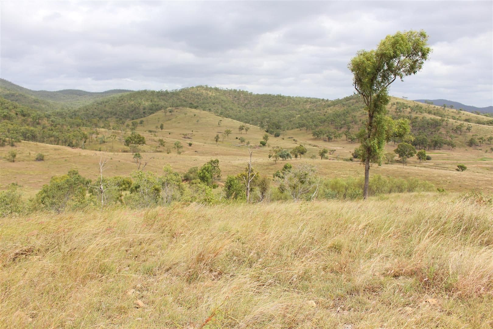 200 Morse Road, Raglan QLD 4697, Raglan - Thumbnail 4