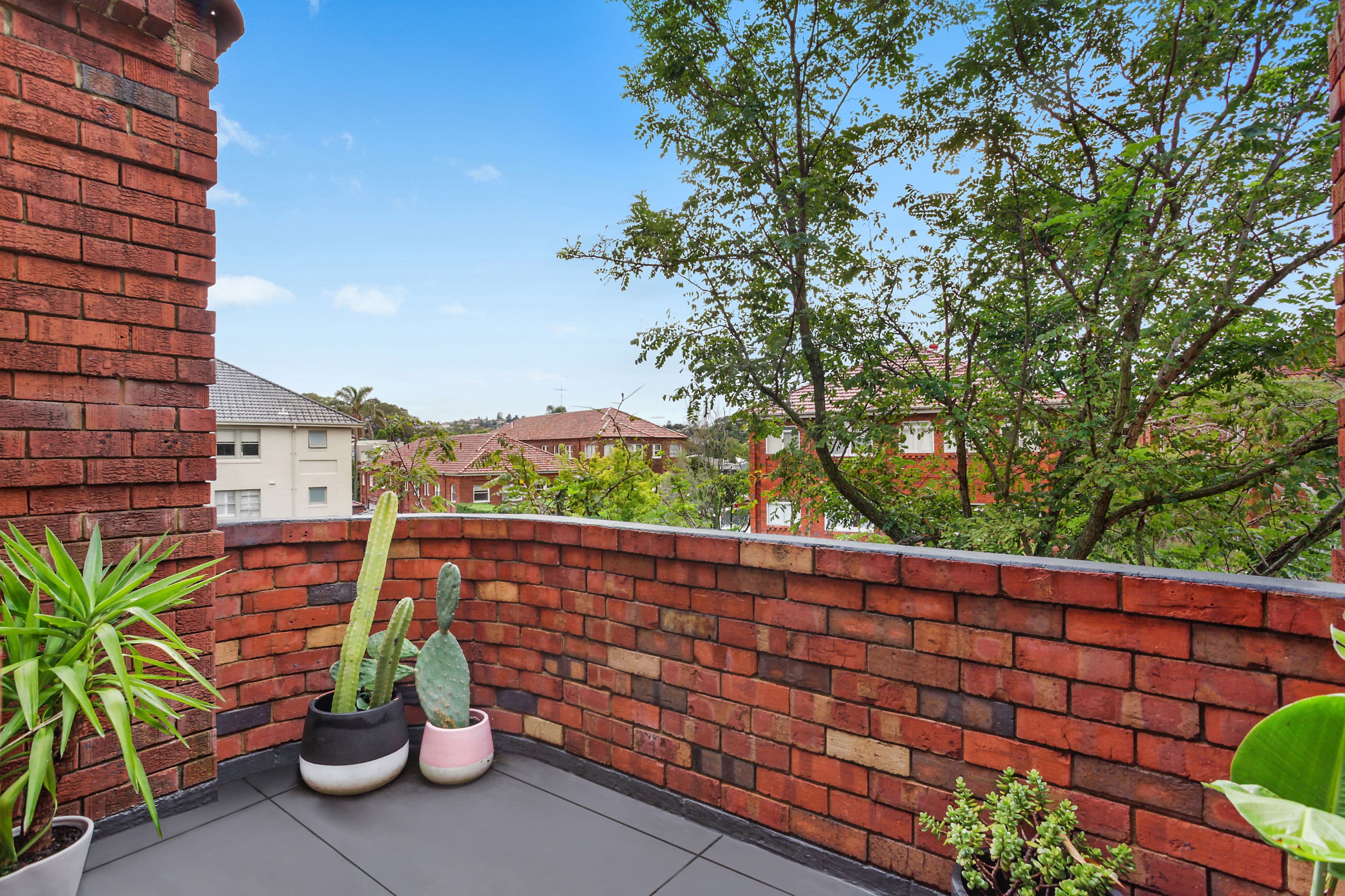 1 Manion Avenue, Rose Bay NSW 2029, Rose Bay - Thumbnail 5