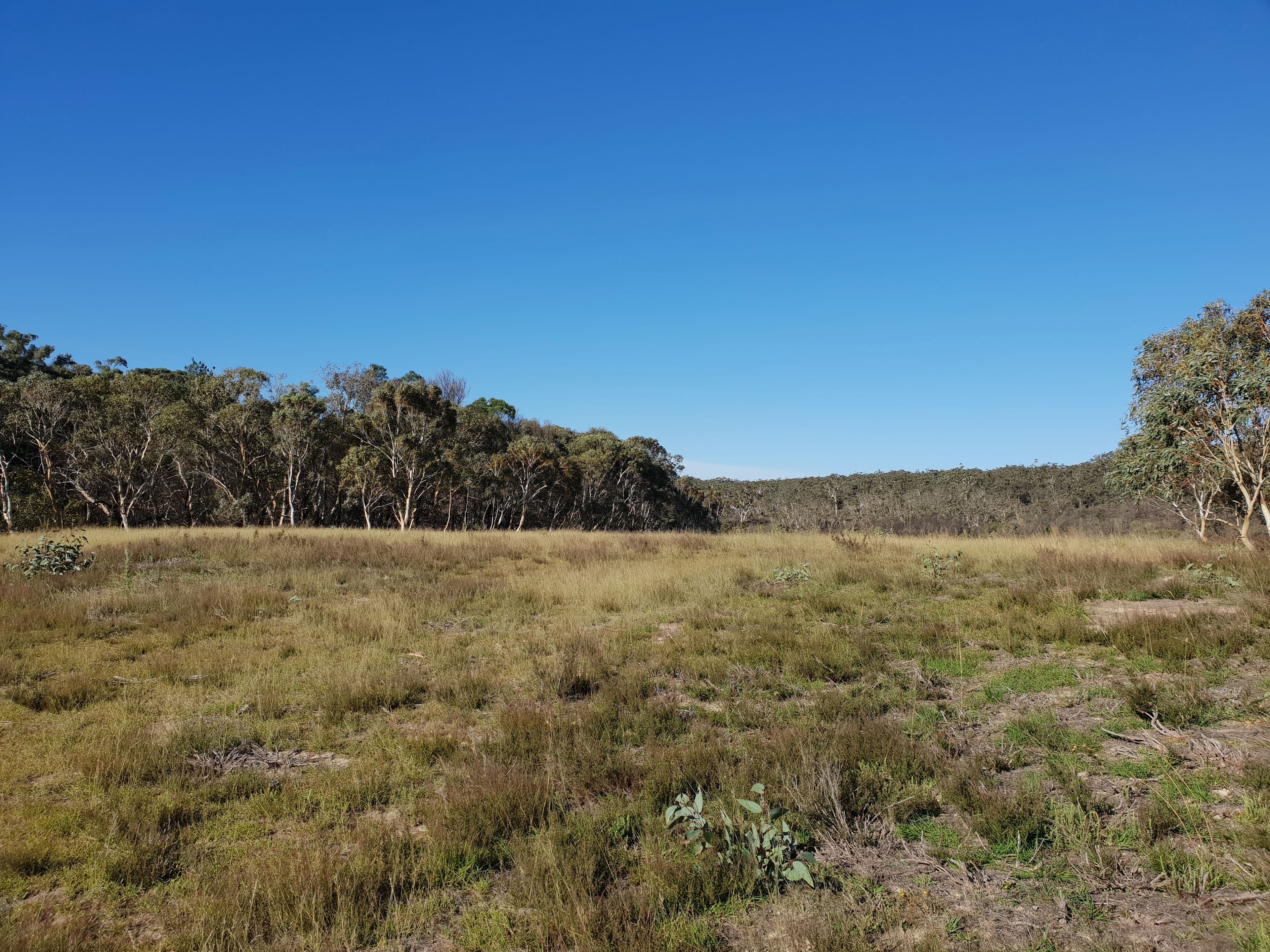 Lot 18 Nerriga Road, Braidwood NSW 2622, Braidwood - Thumbnail 7