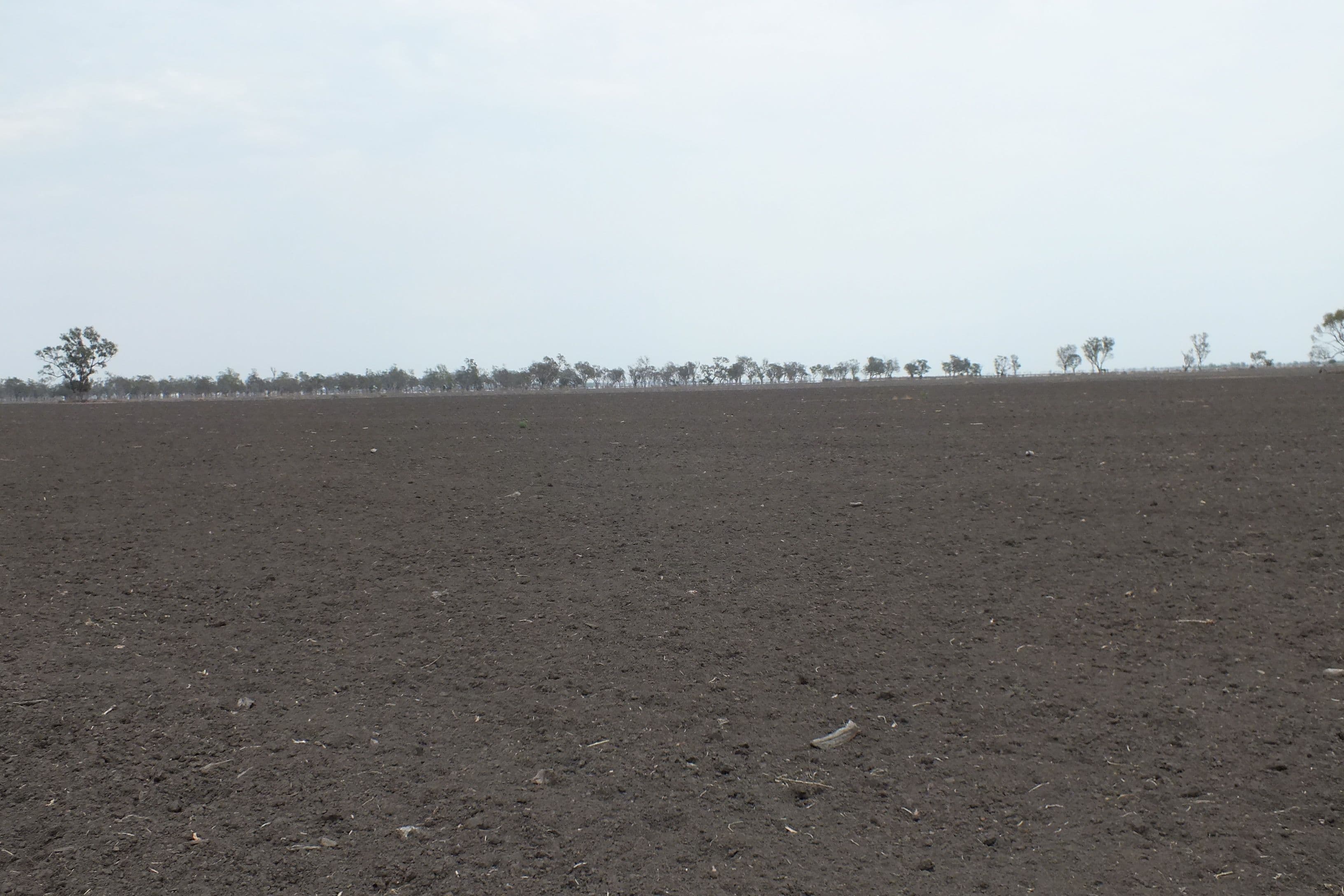 300 Milroy Road, Tulloona NSW 2400, Tulloona - Thumbnail 7