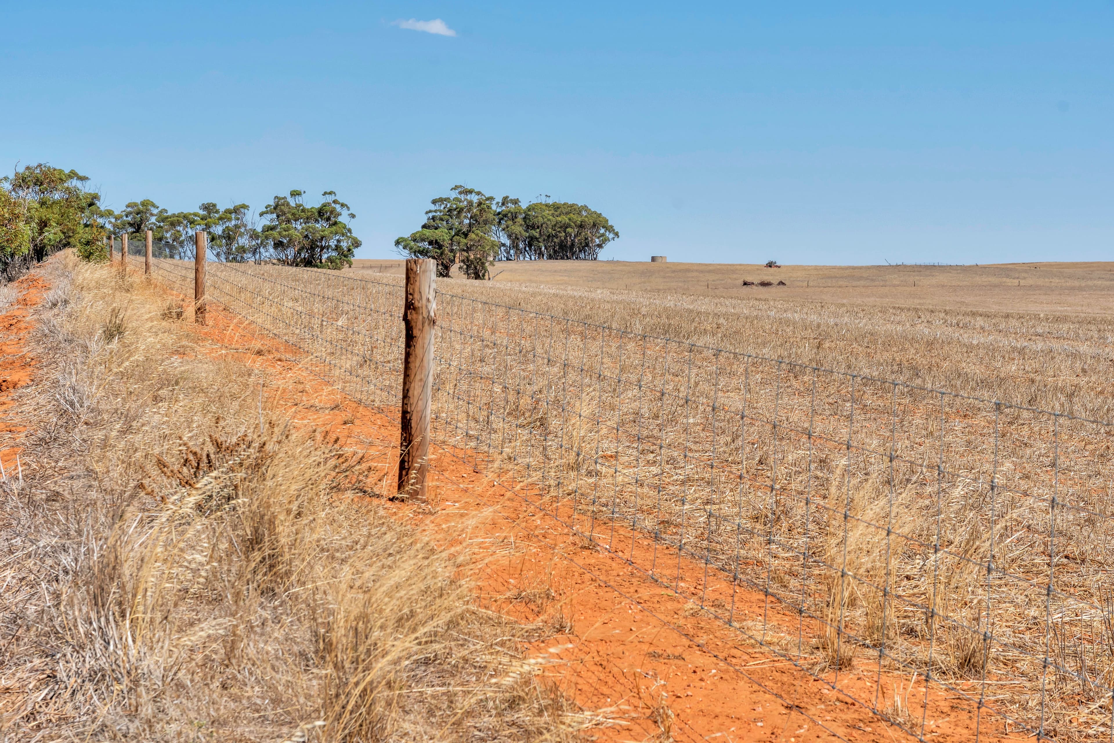 "Mitchell's Block" - Lot 86 Prior Road, Burra SA 5417, Burra - Thumbnail 3