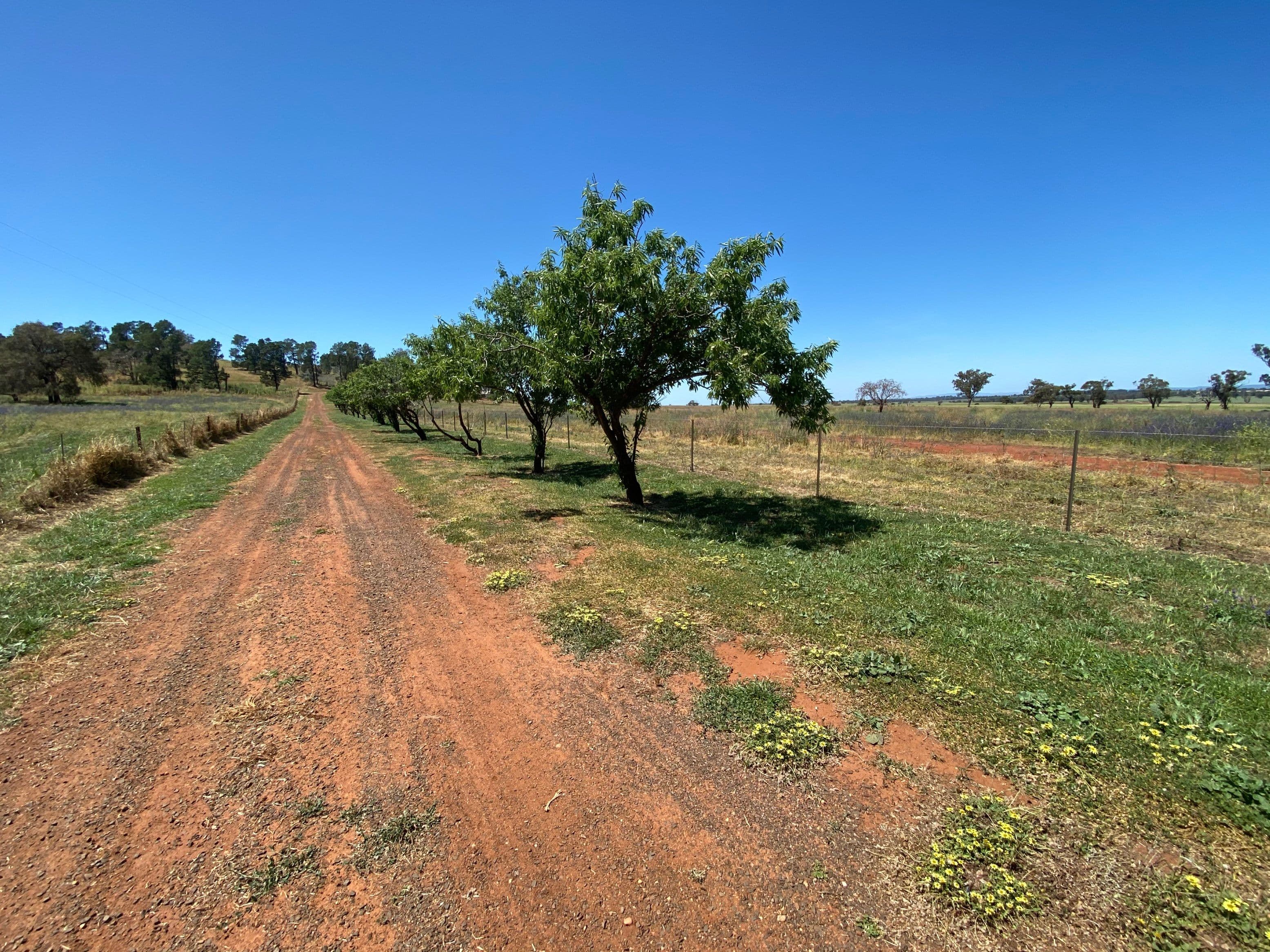 17L Kurrajong Drive, Dubbo NSW 2830, Dubbo - Thumbnail 2