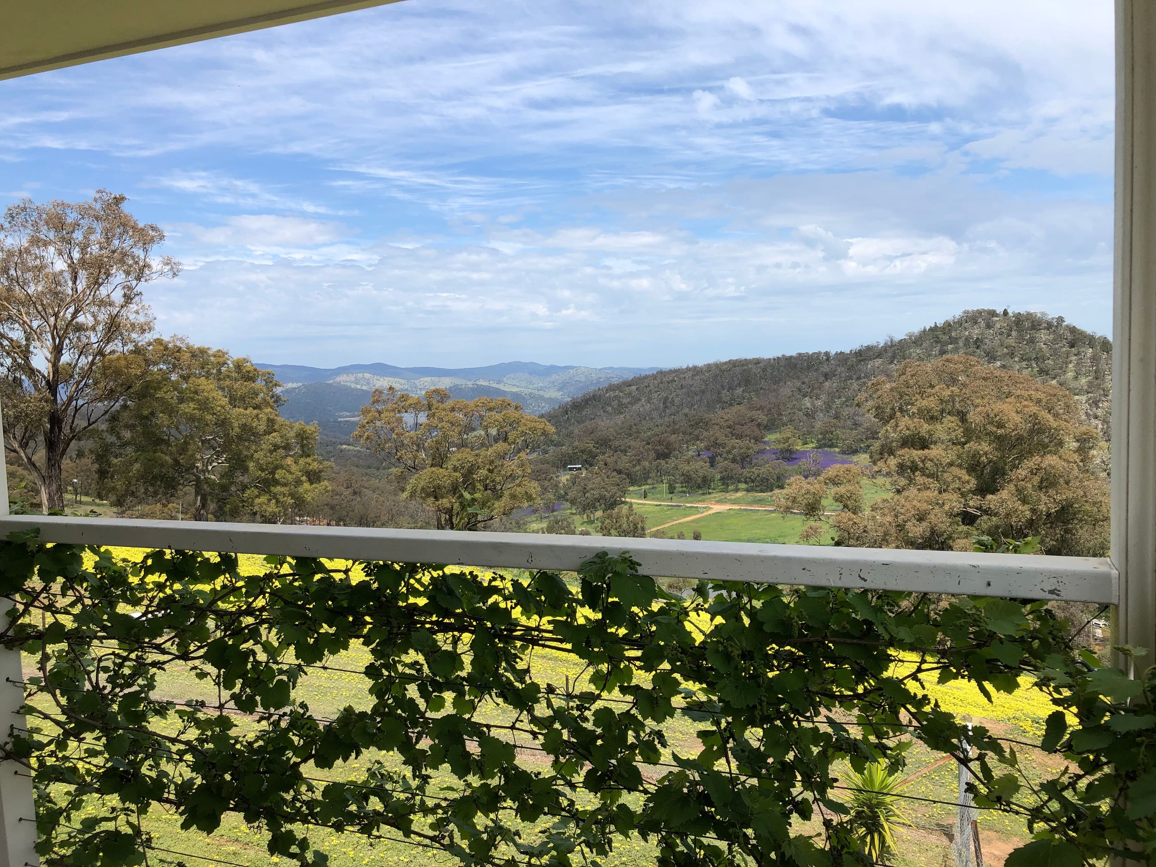 157 Blue Mantle Road, Wyangala NSW 2808, Wyangala - Thumbnail 3