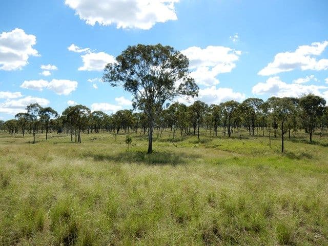 131 and 138 Harsants Road, LAWGI DAWES QLD 4716, Lawgi Dawes - Thumbnail 6