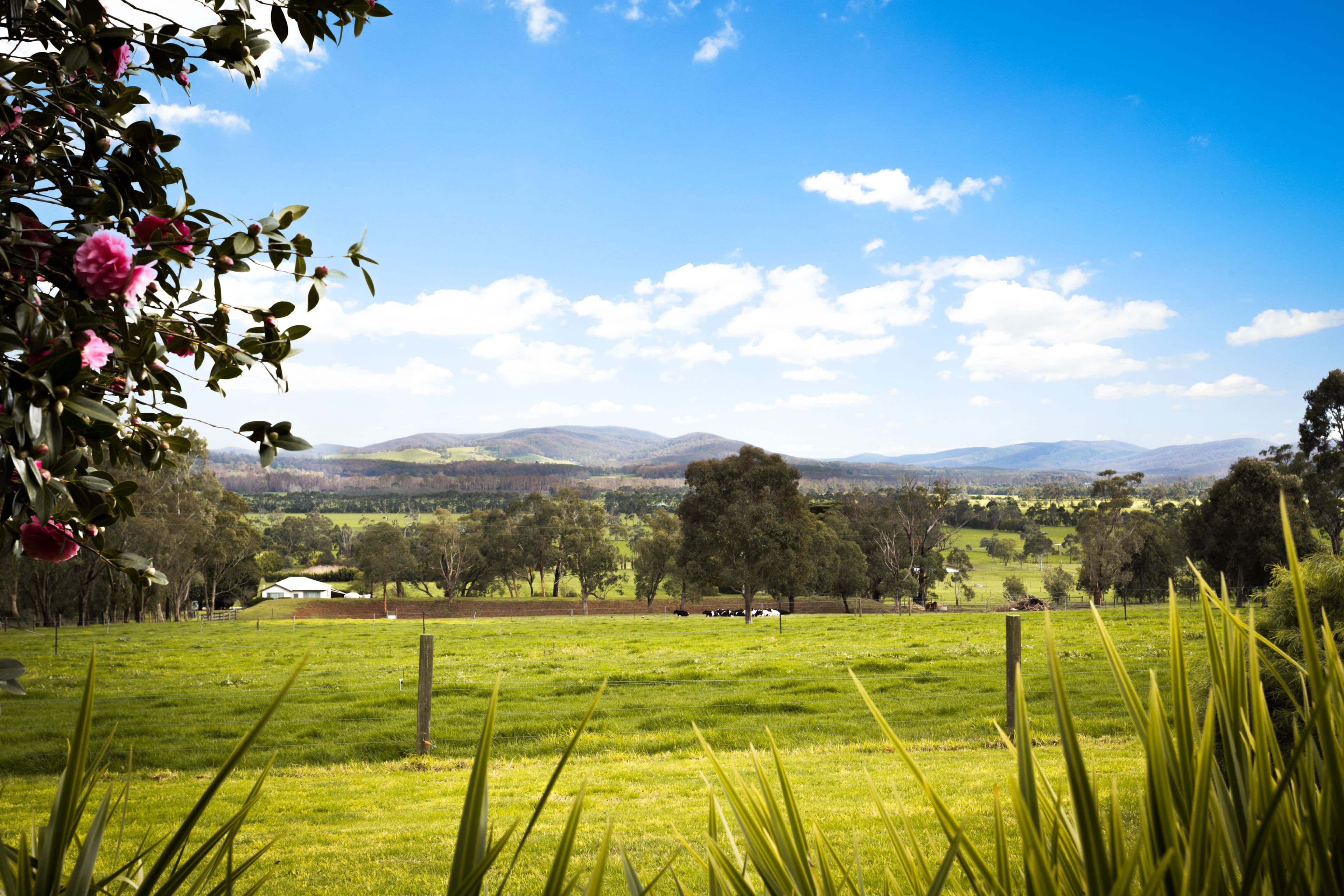 756 Labertouche North Road, Labertouche VIC 3816, Labertouche - Thumbnail 6