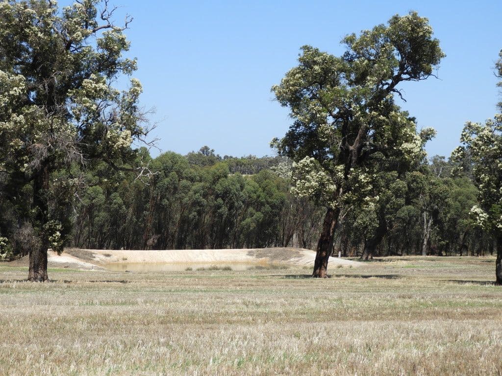 Boase Road Farm, Bakers Hill WA 6562, Bakers Hill - Thumbnail 4