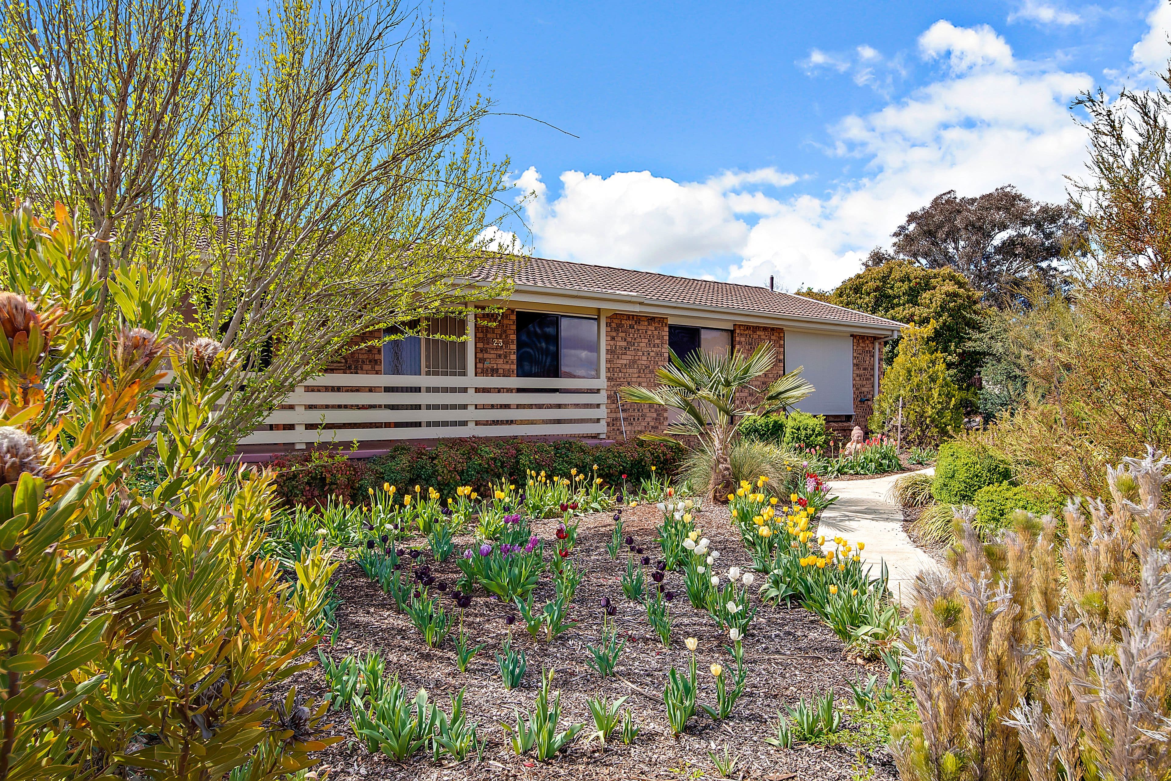 23 Woodburn Street, Chisholm ACT 2905, Chisholm - Thumbnail 2