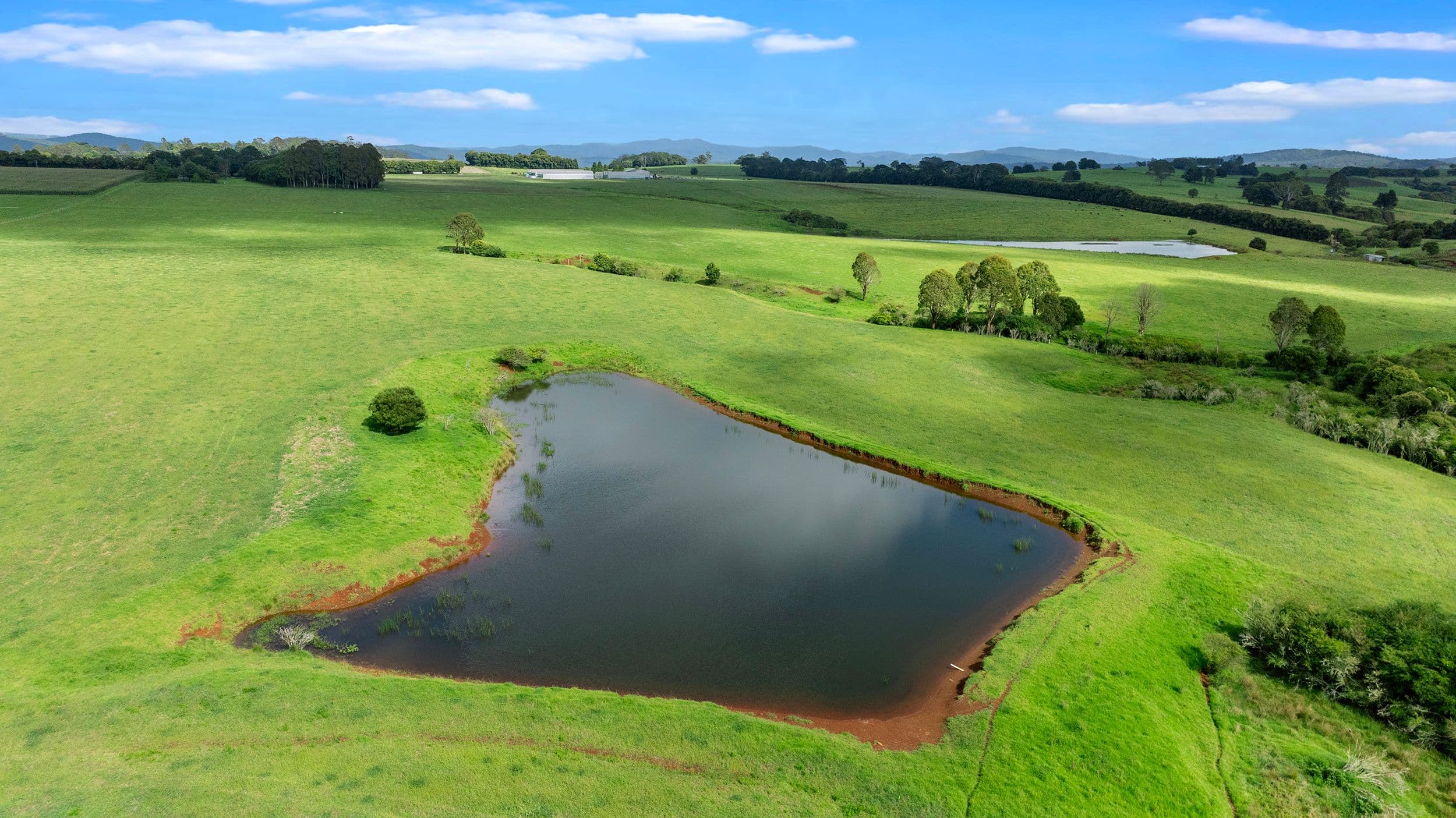 68 Paddys Plains Road, Dorrigo NSW 2453, Dorrigo - Thumbnail 8