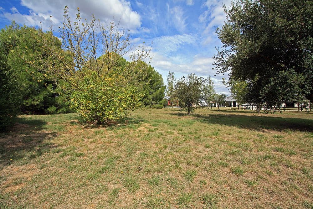 85 Trucking Yard Lane, Bungendore NSW 2621, Bungendore - Thumbnail 5