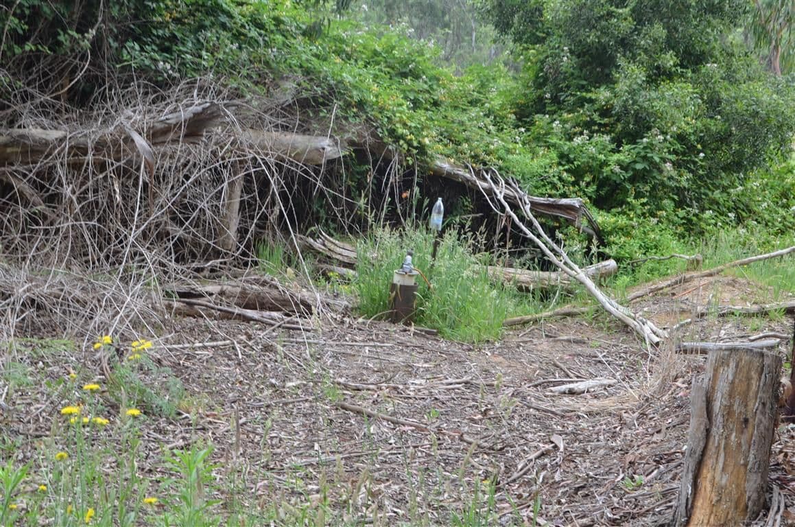 00 'Muttaroo' Mines Road, BATLOW NSW 2730, Batlow - Thumbnail 5