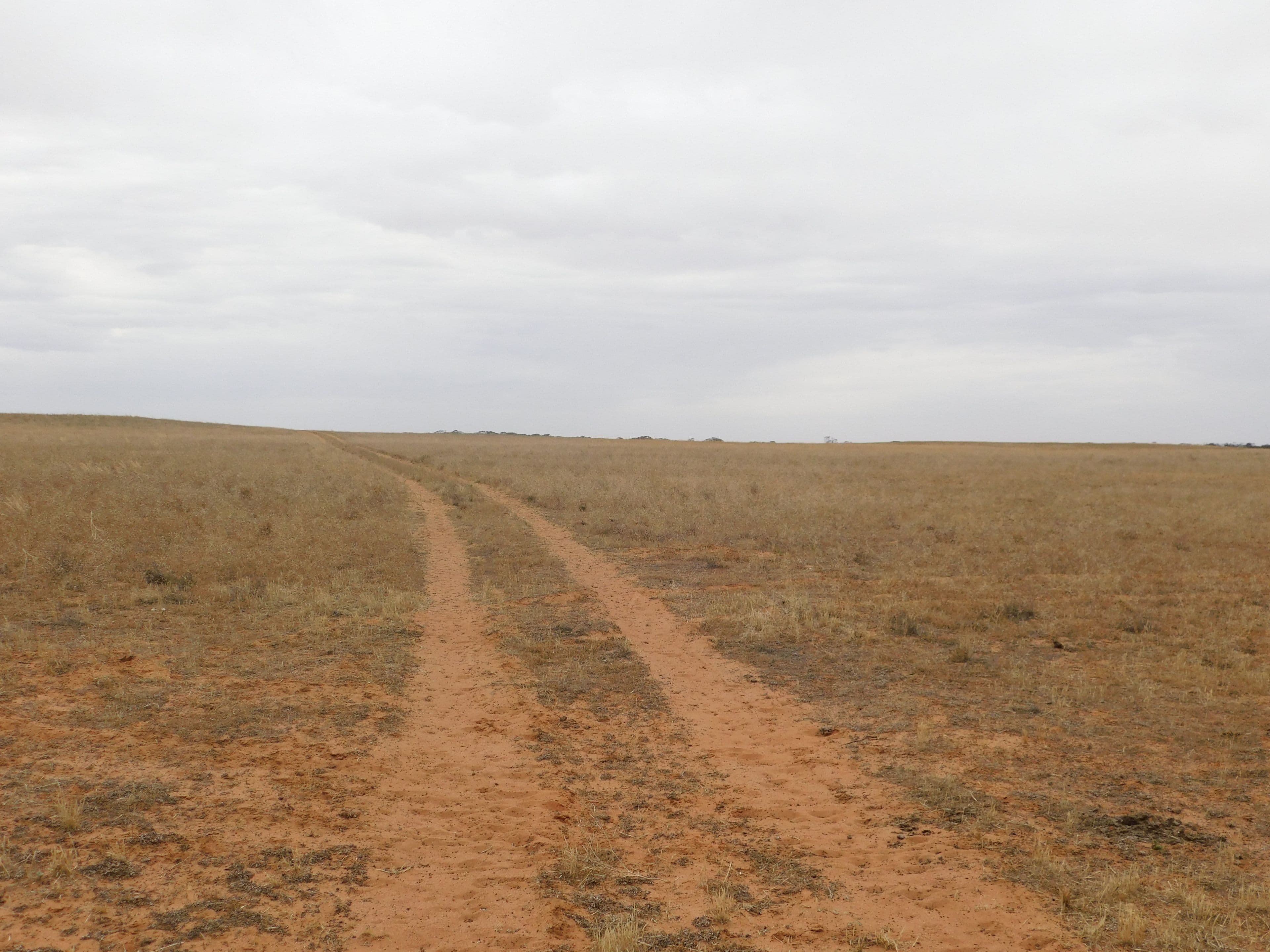 Sec 35 Racecourse Road, Halidon SA 5309, Halidon - Thumbnail 2