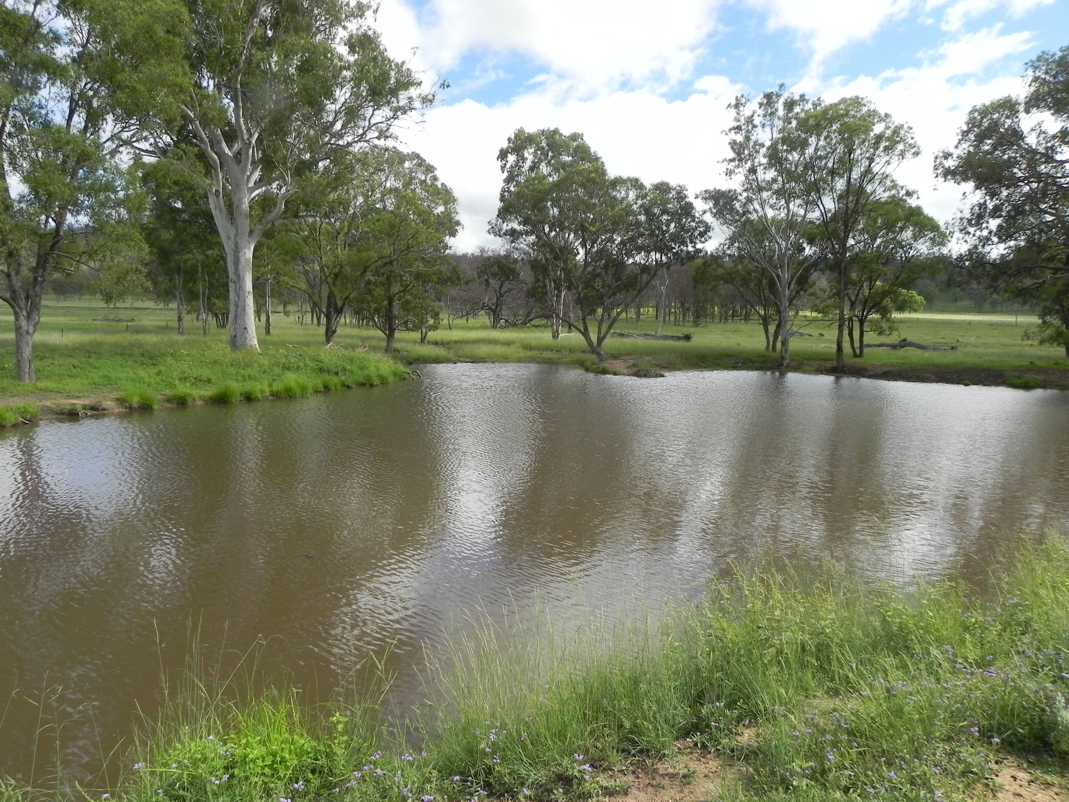 0 Cunningham Highway, Greymare QLD 4370, Greymare - Thumbnail 6