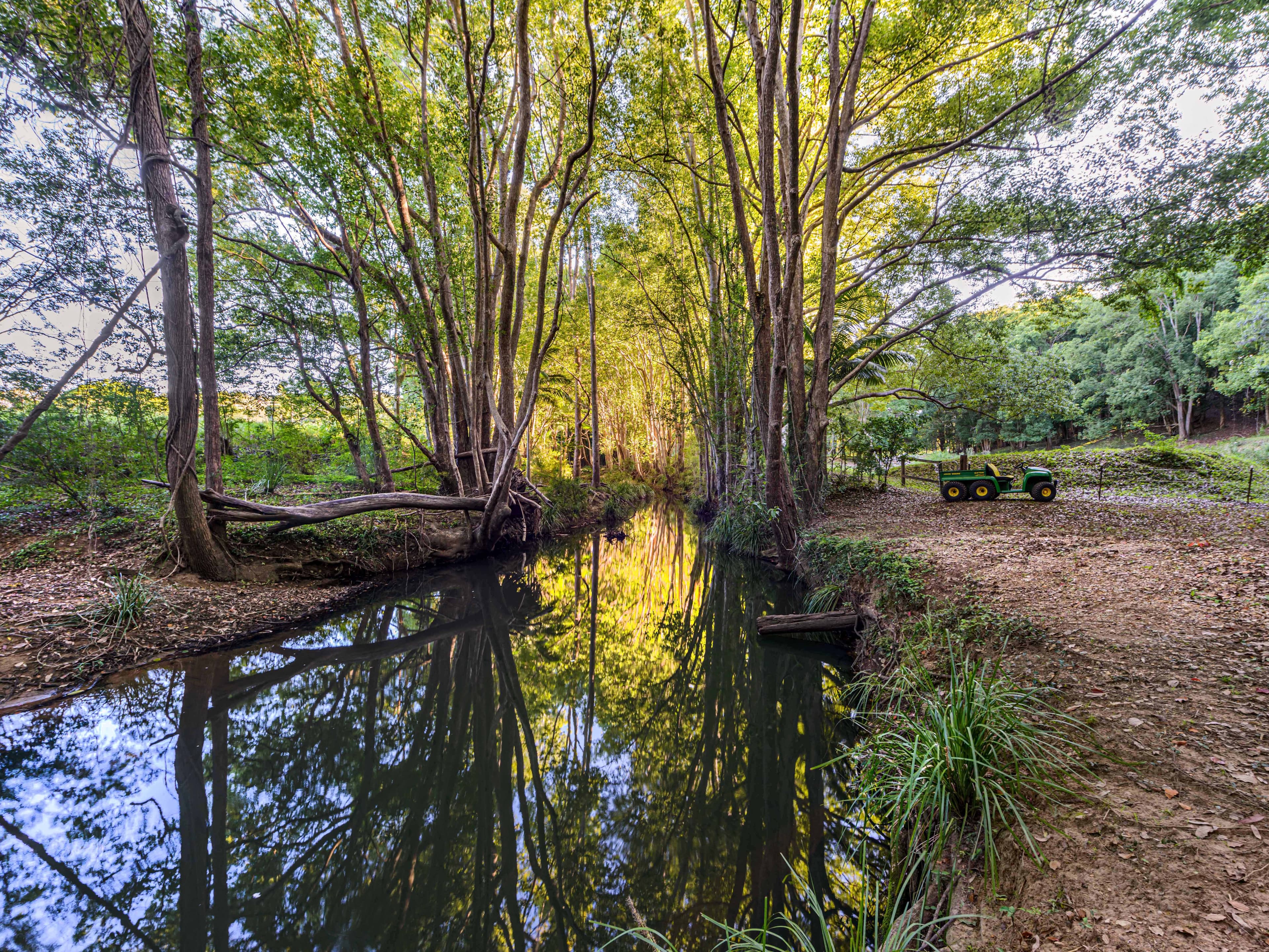 1 Stuckey Close, Willow Vale QLD 4209, Willow Vale - Thumbnail 6
