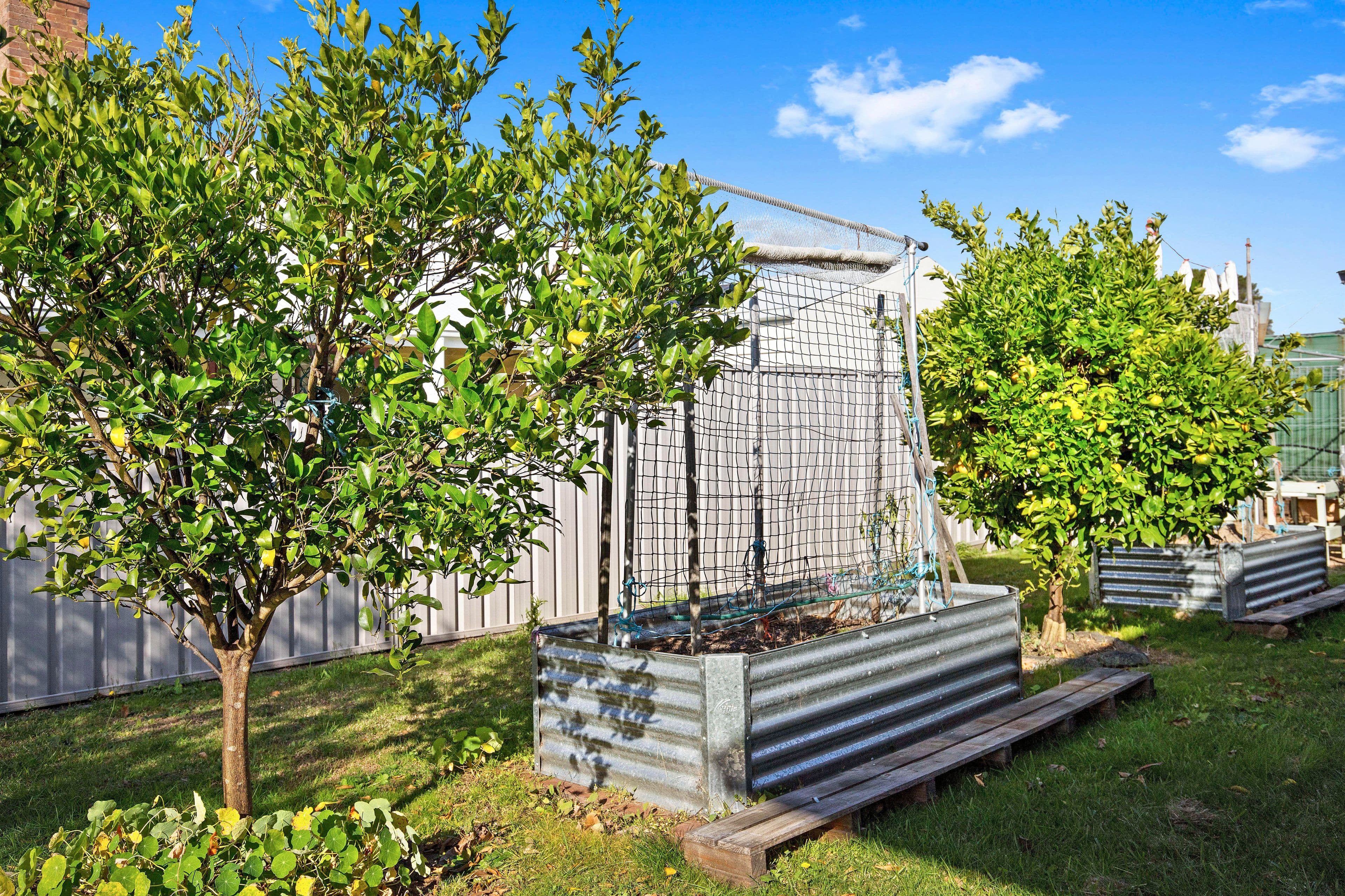 1 Campbell Street, Moruya - Thumbnail 8