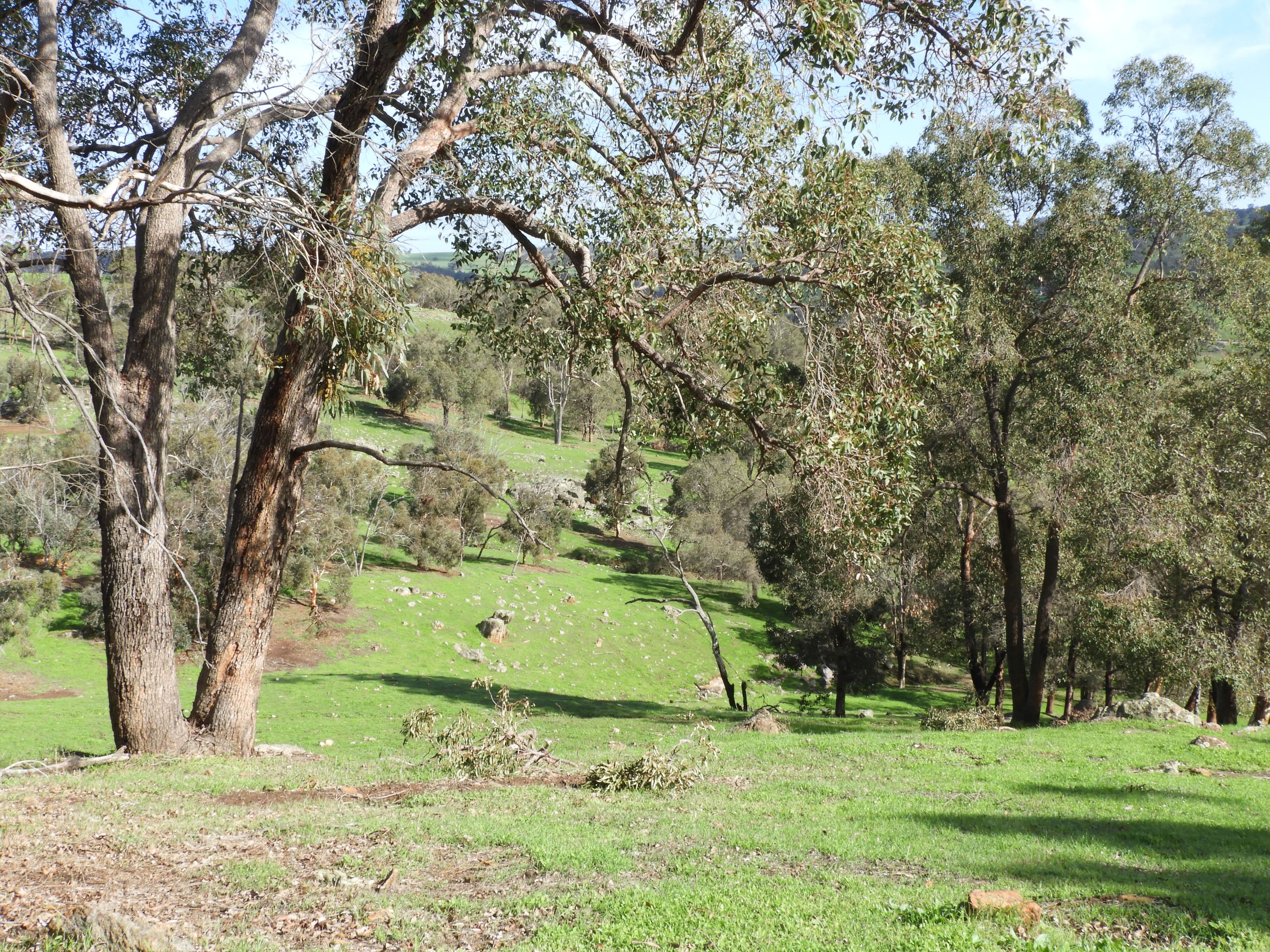 712 Davis Road, Chittering WA 6084, Chittering - Thumbnail 6